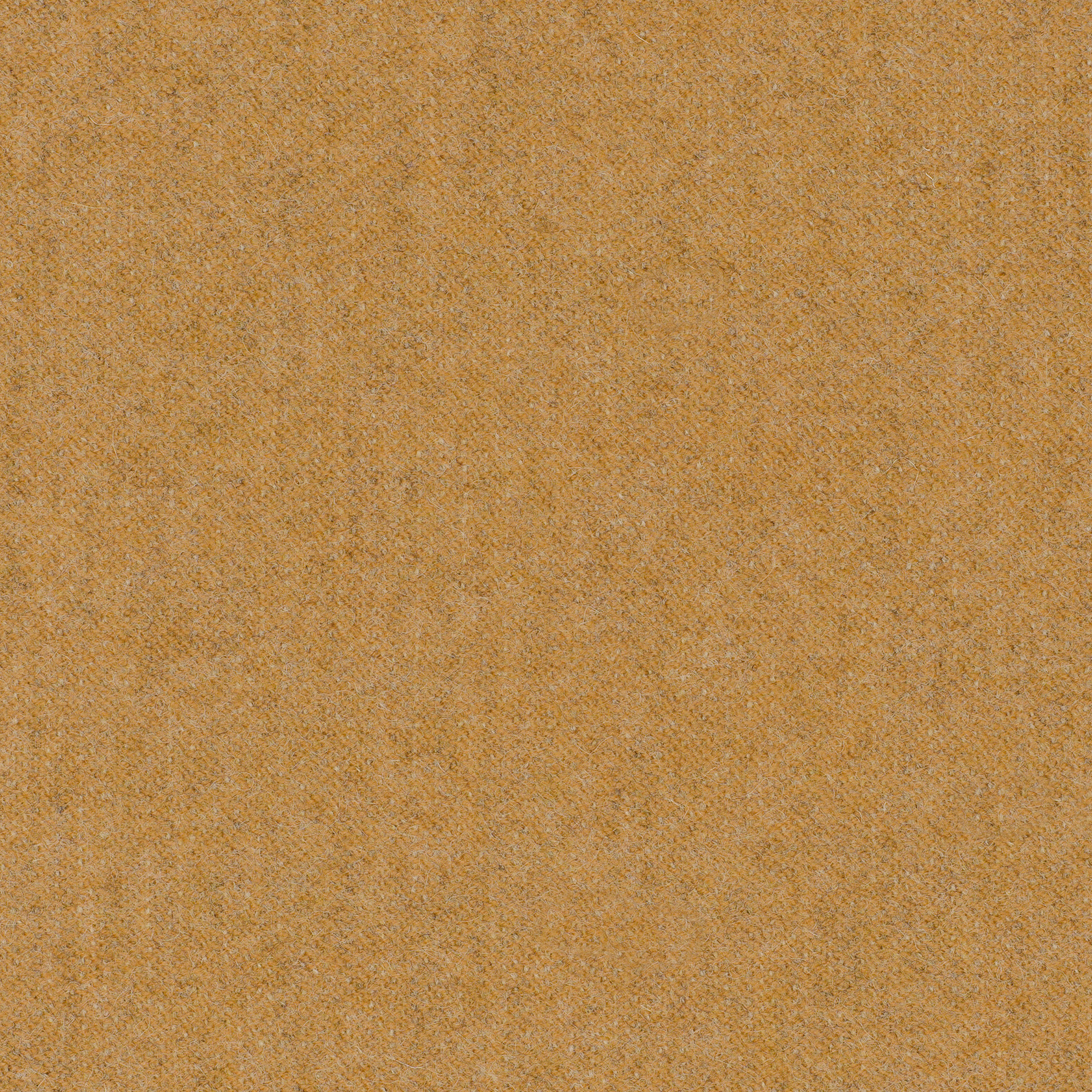 LDS22_WEB LDS22_WEB