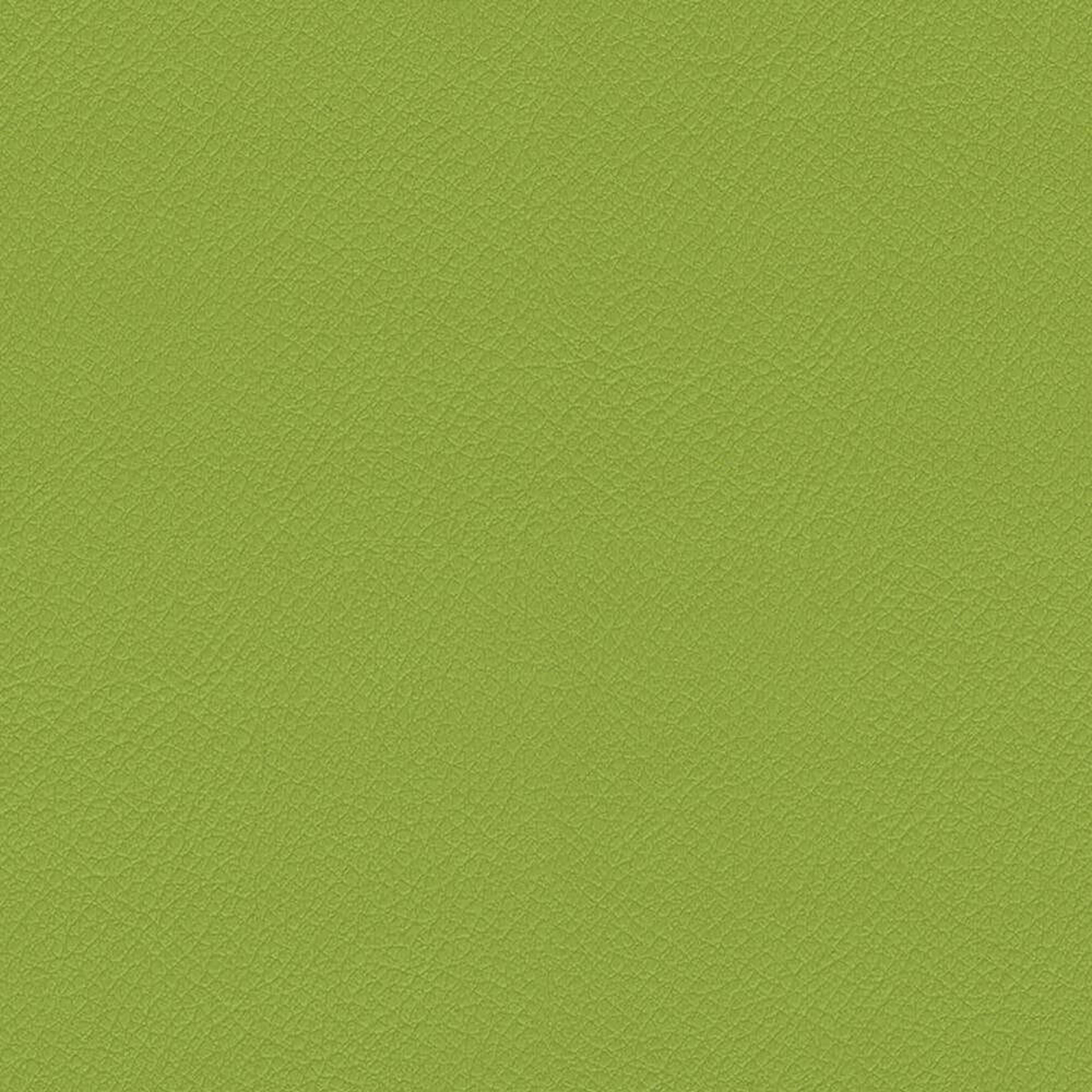 ITA06_WEB