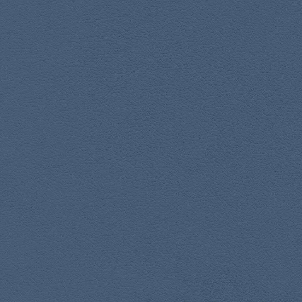 VIN24_WEB