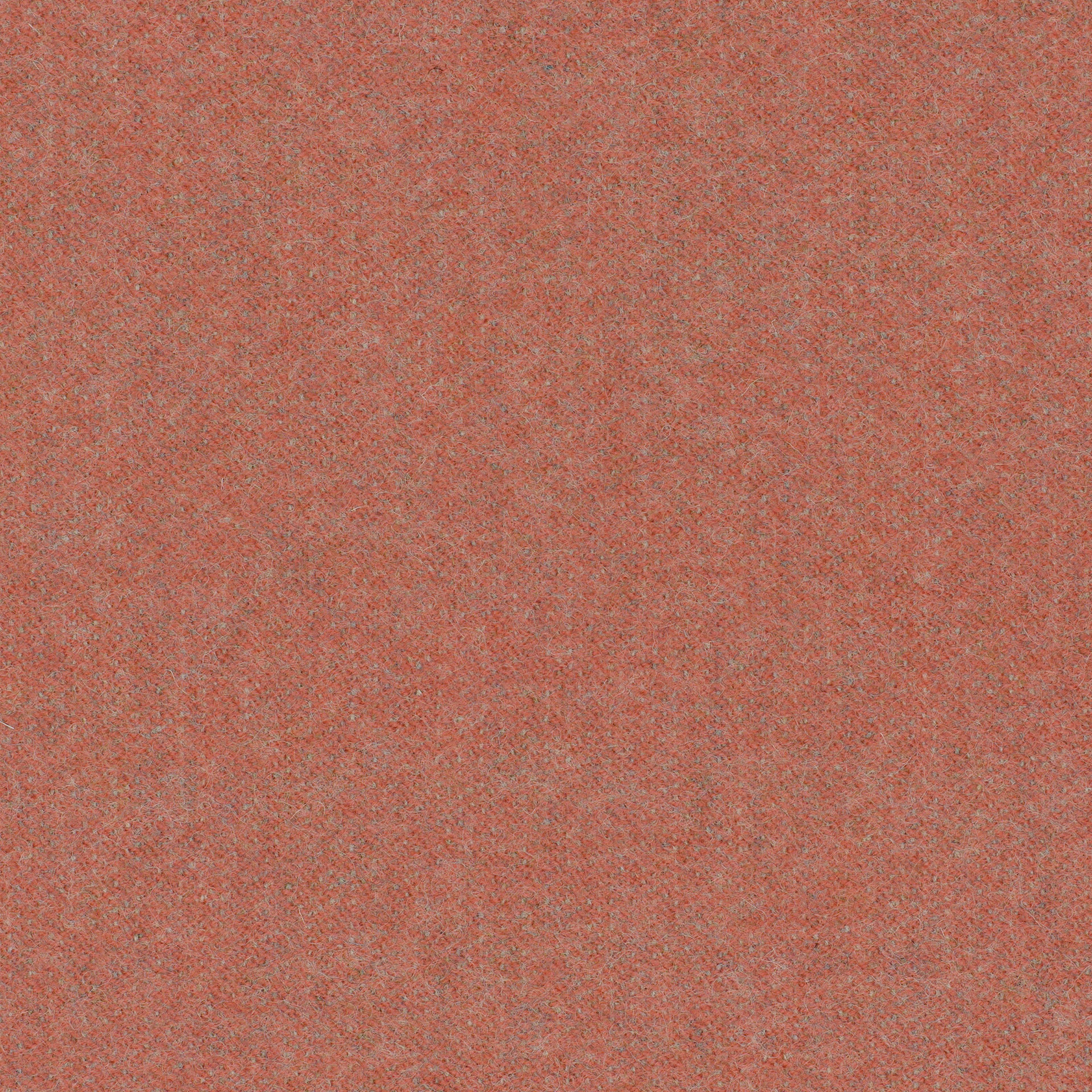 LDS73_WEB LDS73_WEB