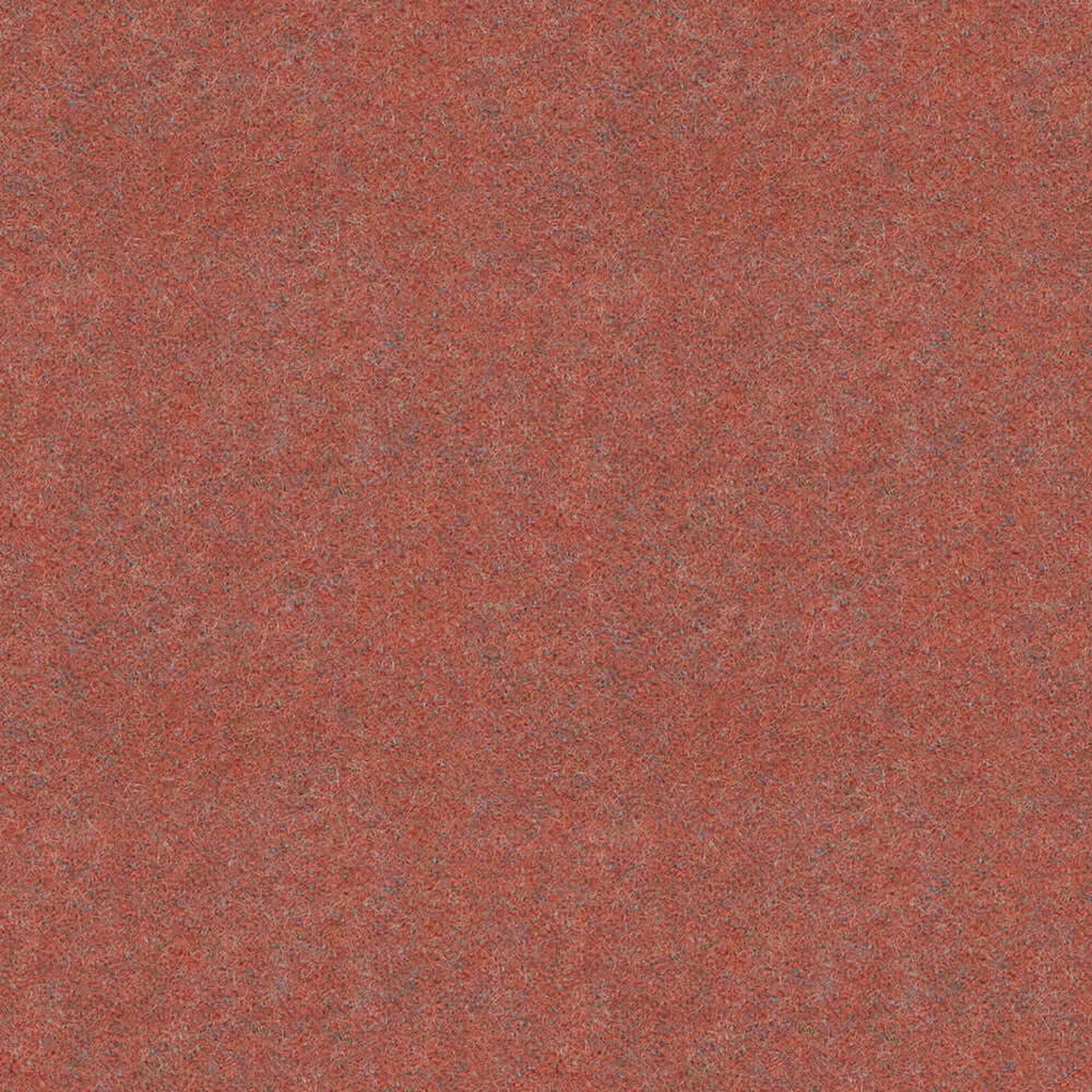 LDS73_WEB