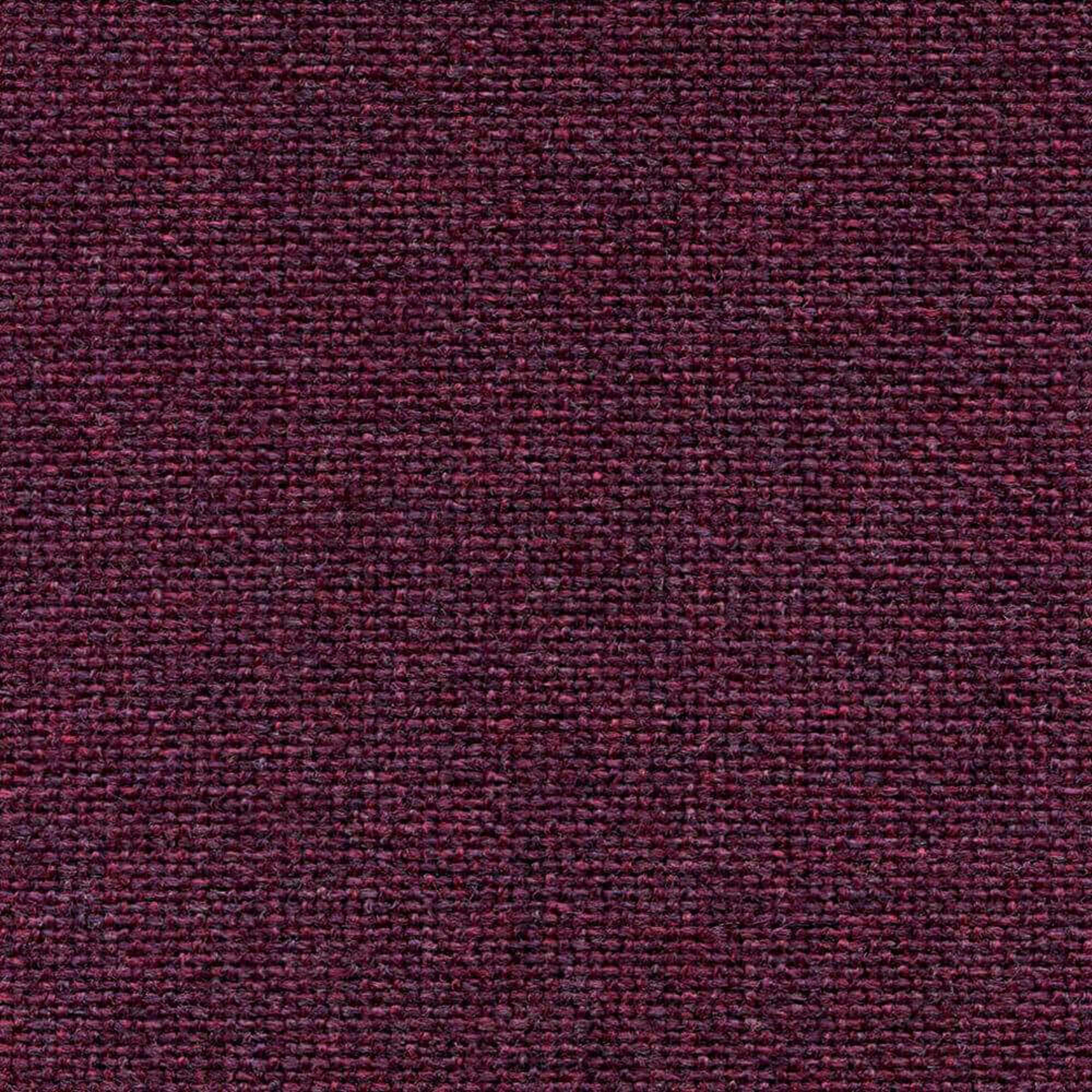 AD029_WEB
