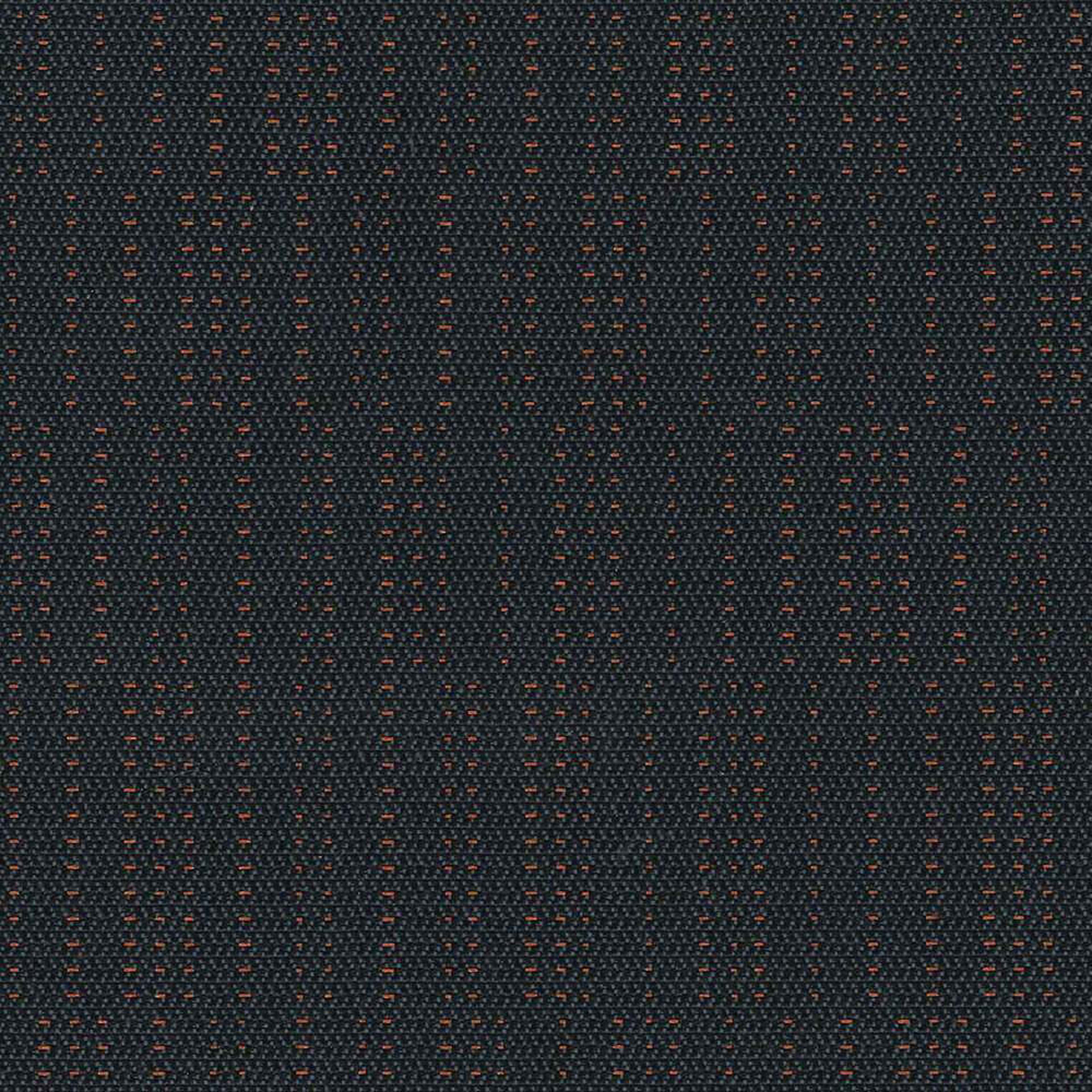 PVB03_WEB PVB03_WEB