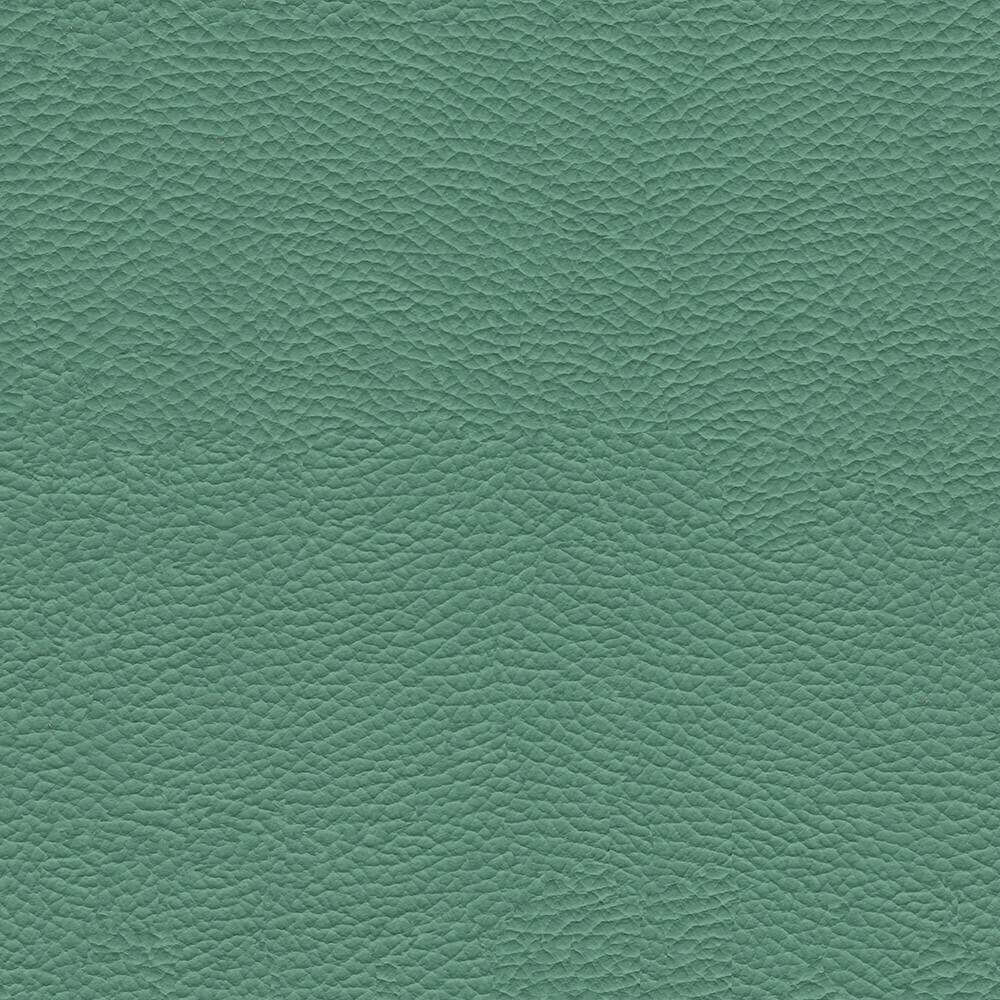 VAC32_WEB