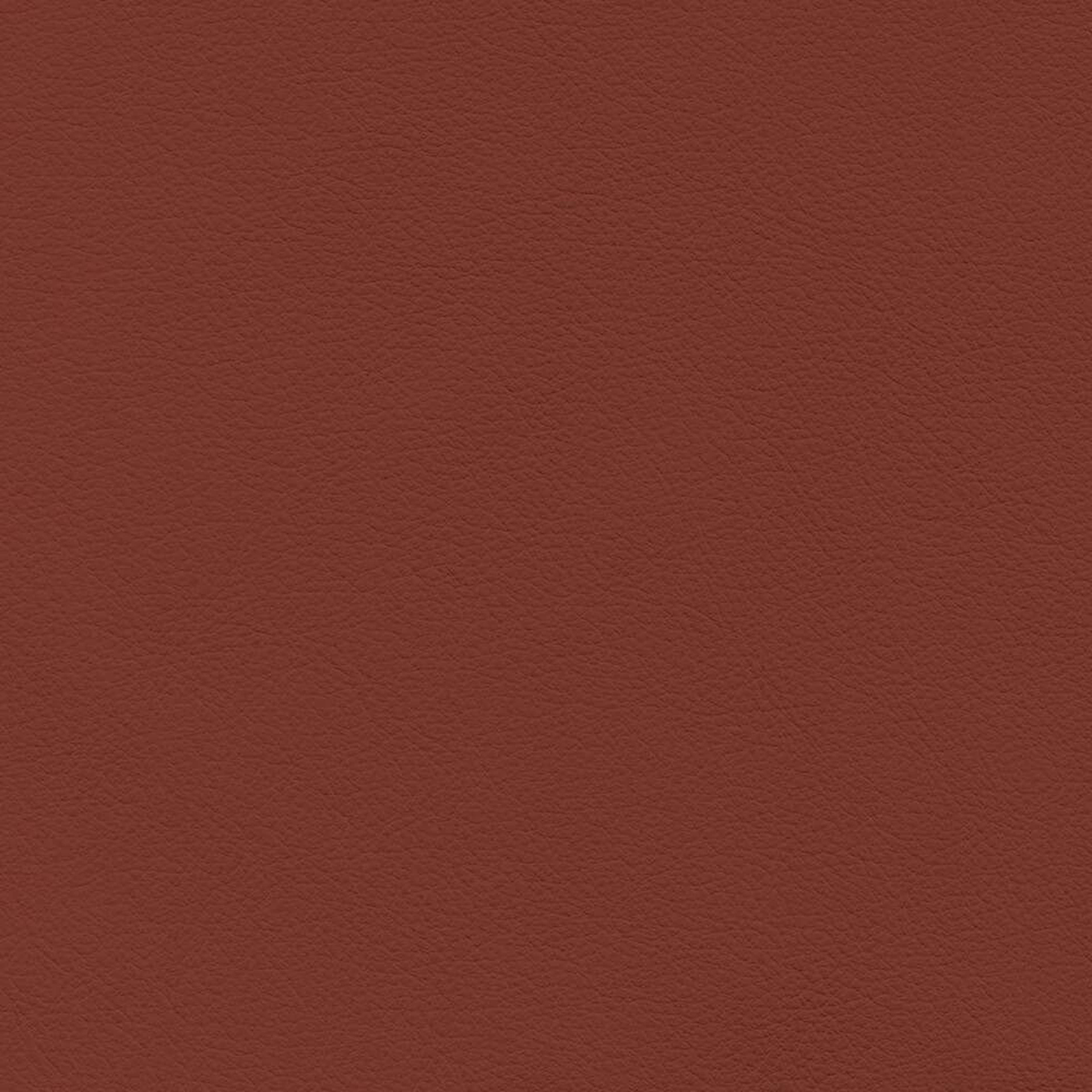 VIN71_WEB VIN71_WEB