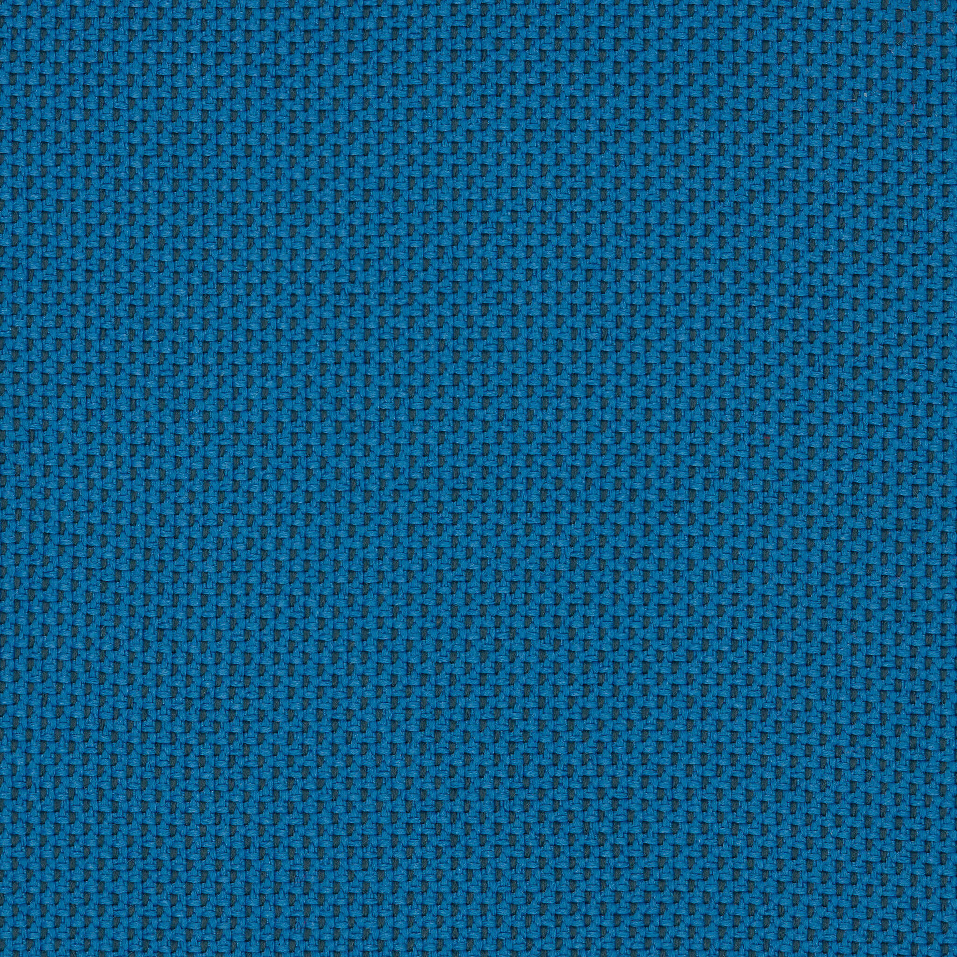 Camira_REP04