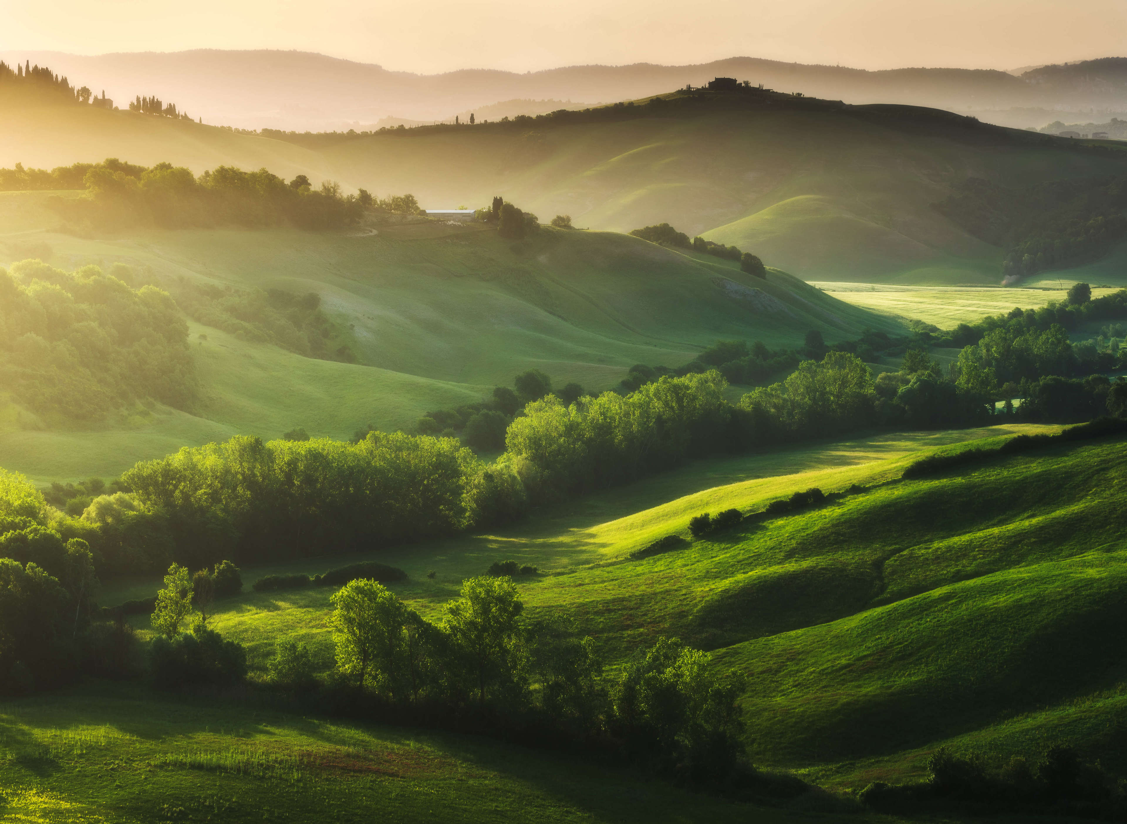 Green Landscape