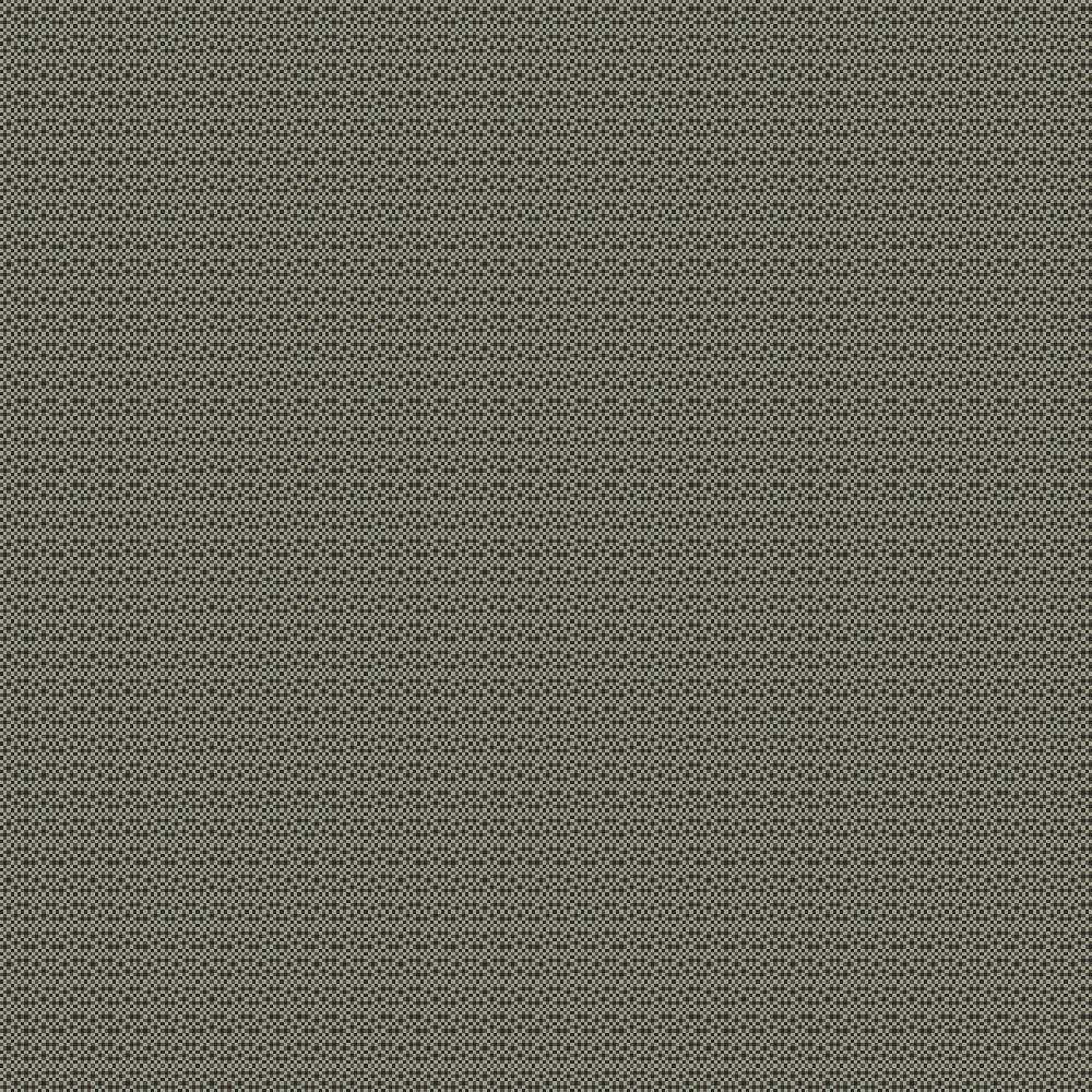 EGGC43_WEB
