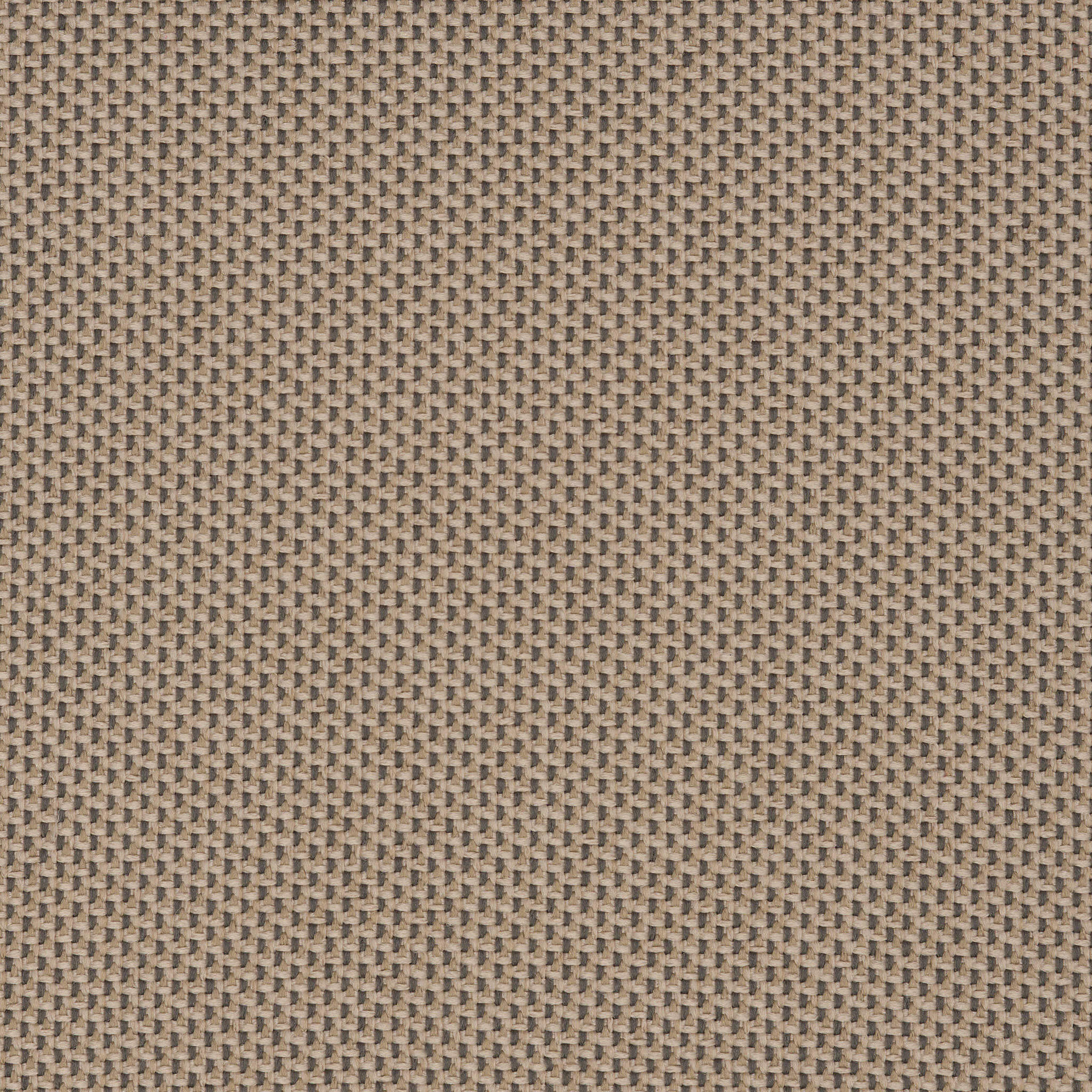 Camira_REP14