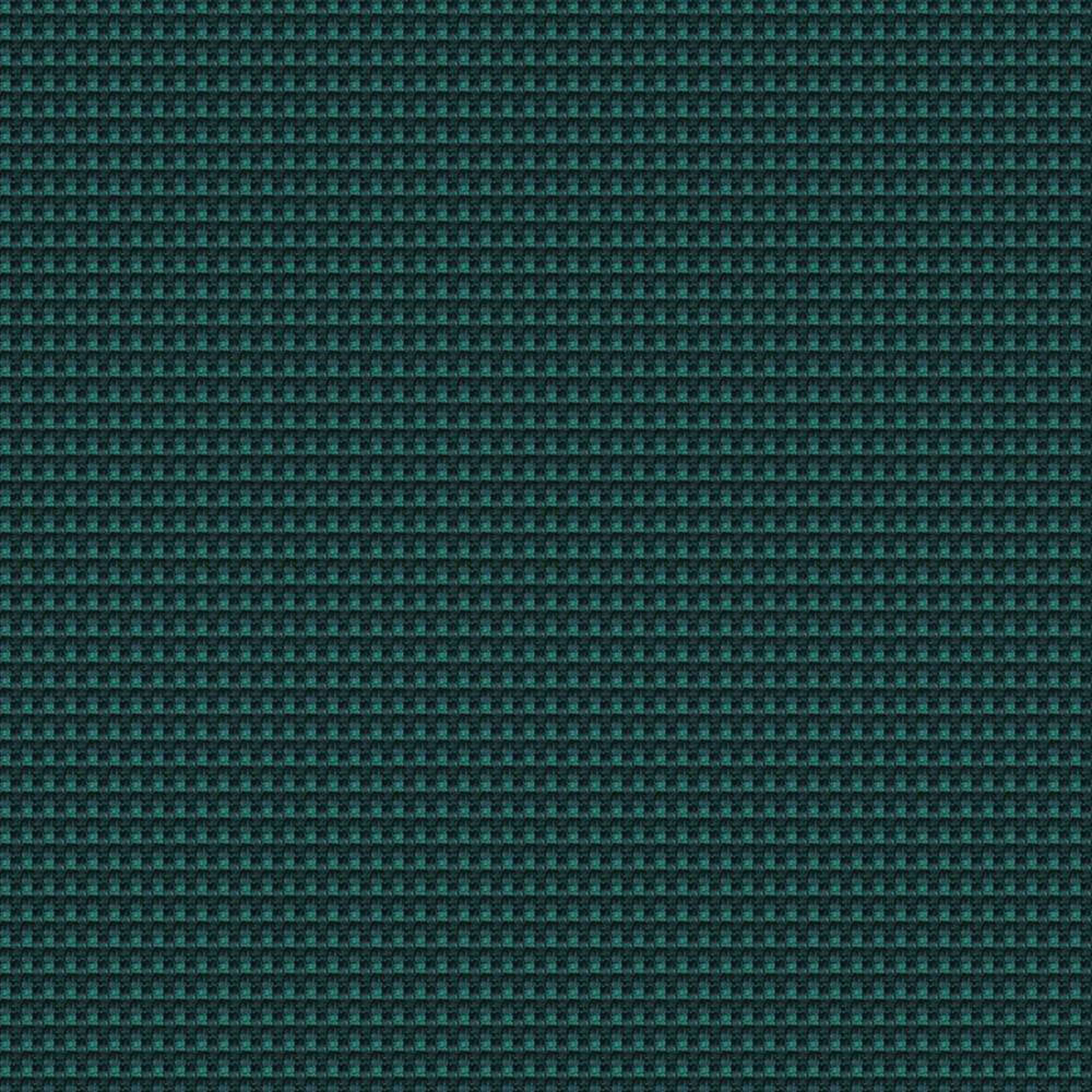 CSP14_WEB