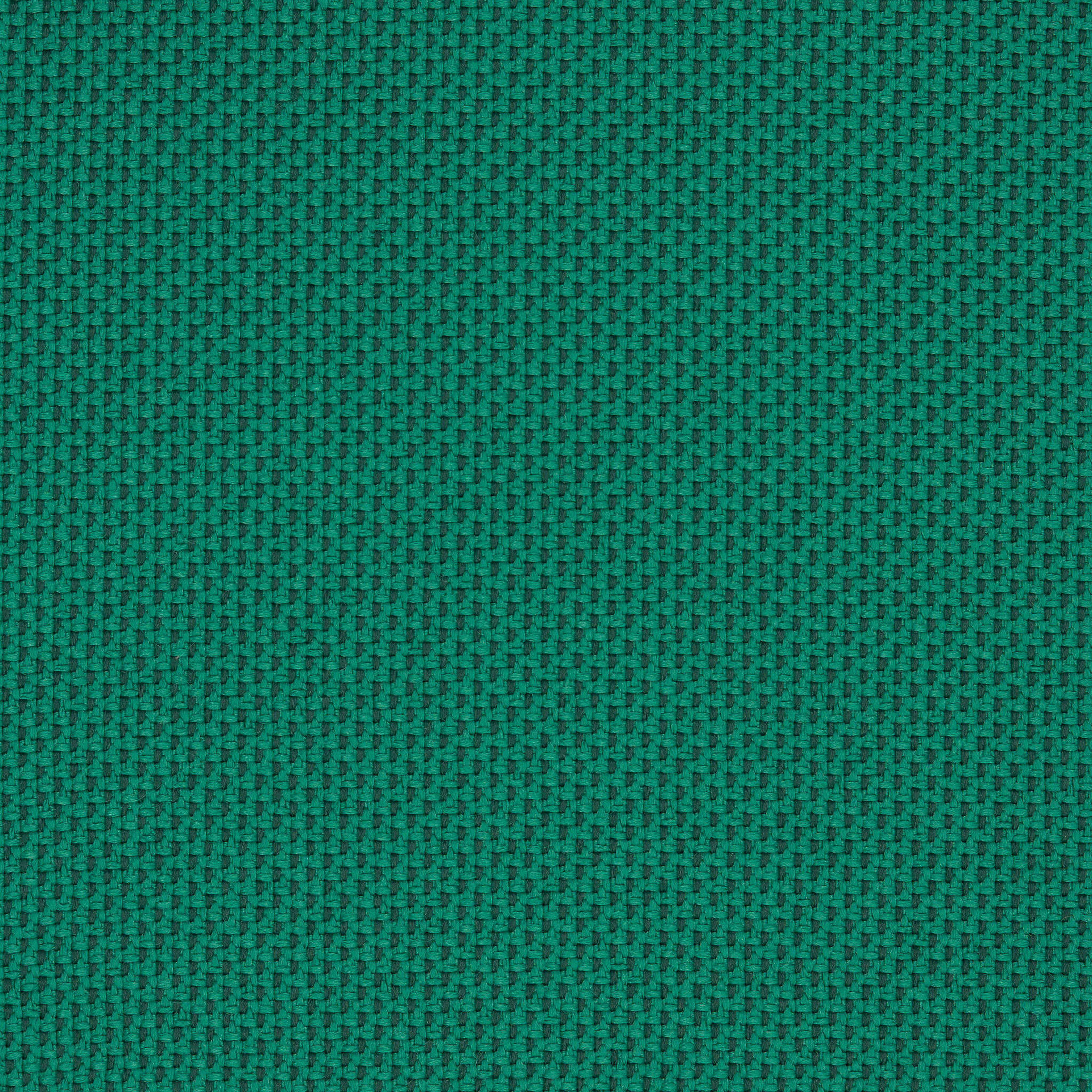 Camira_REP10