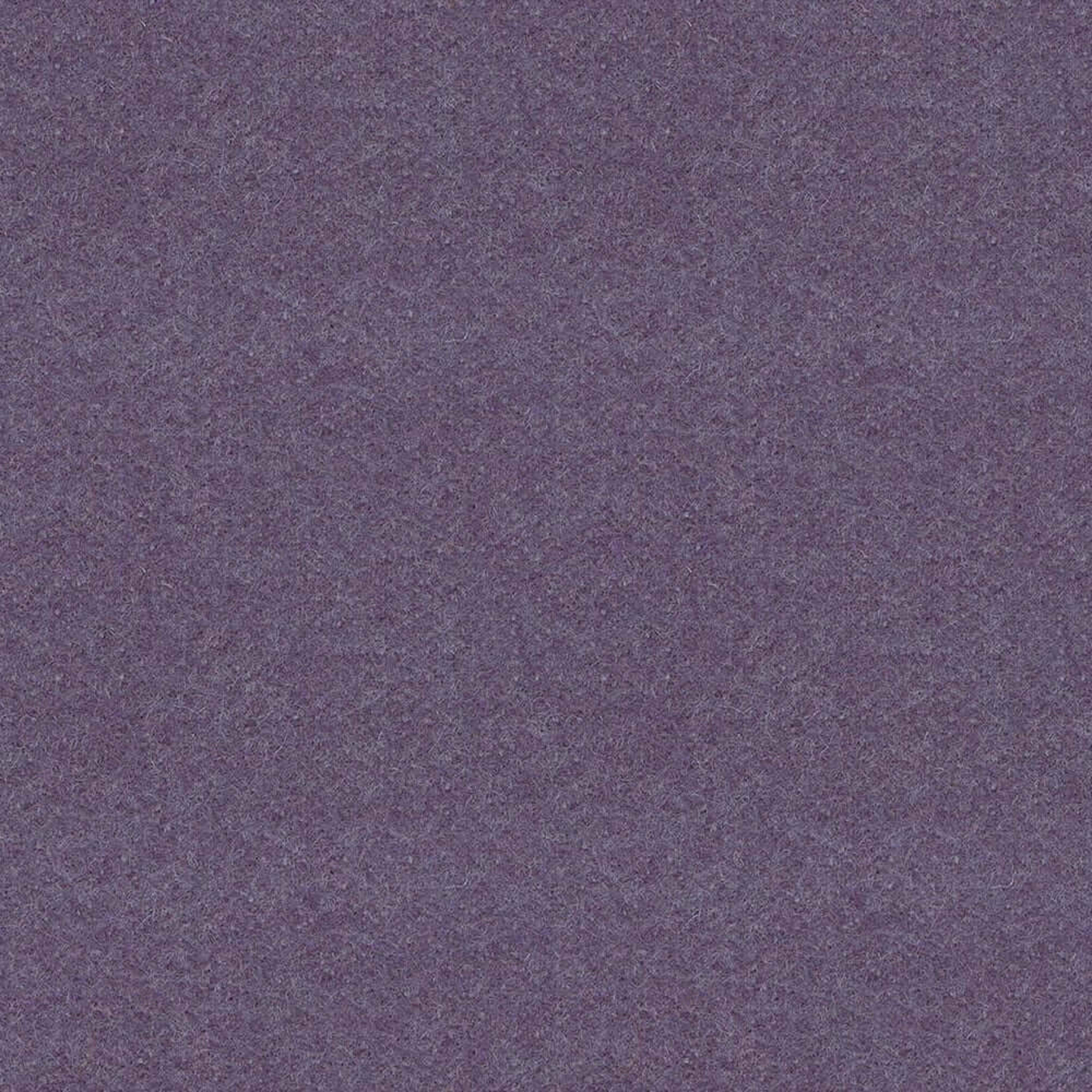 LDS67_WEB