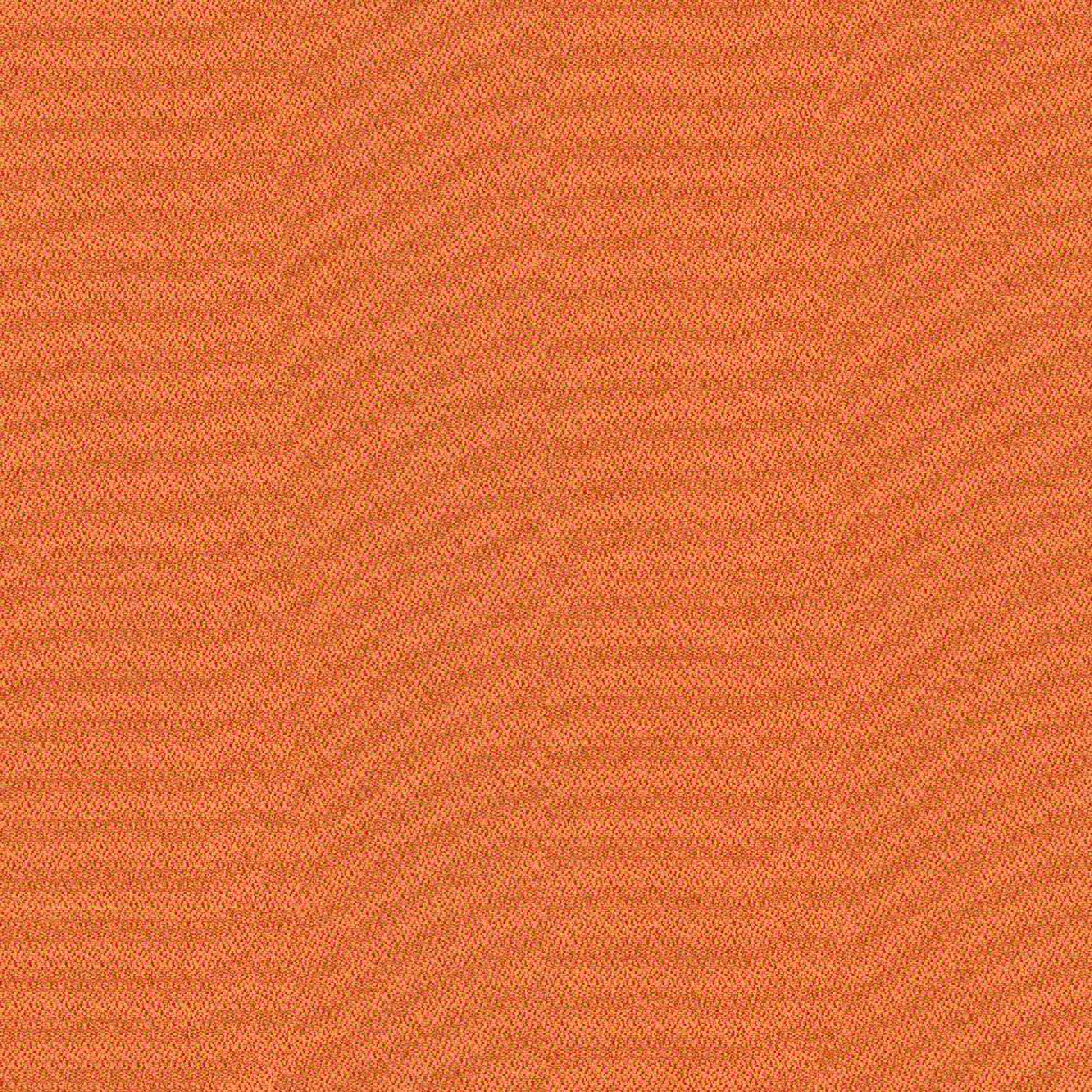 CSE05_WEB