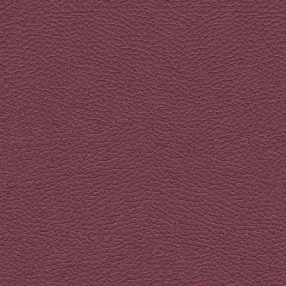 VAC10_WEB