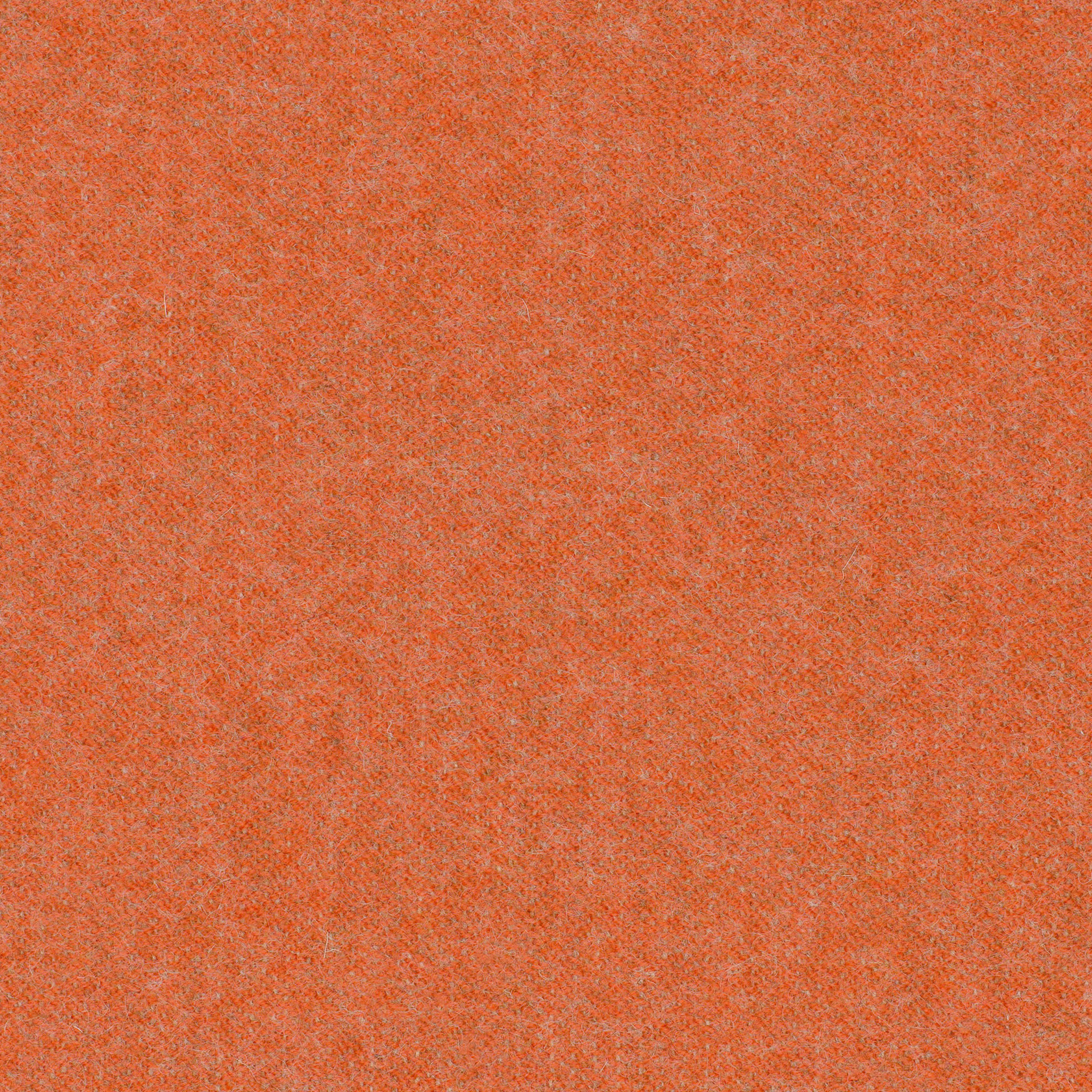 LDS83_WEB LDS83_WEB