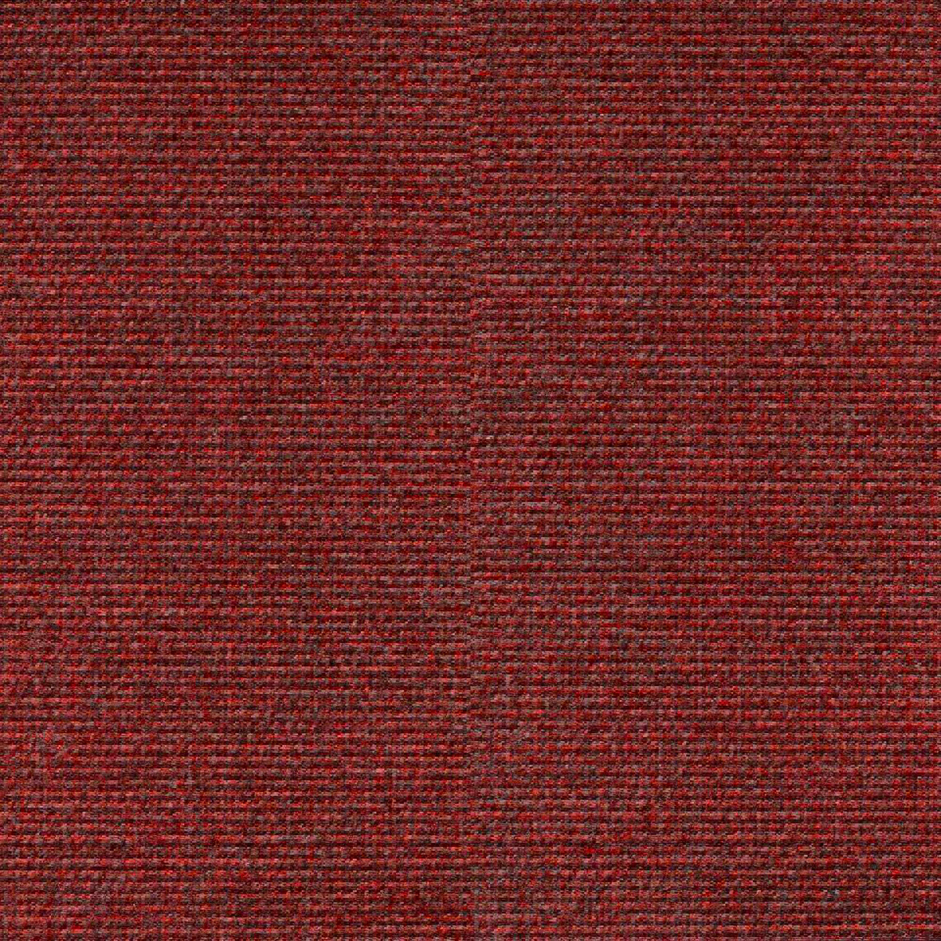 AD005_WEB