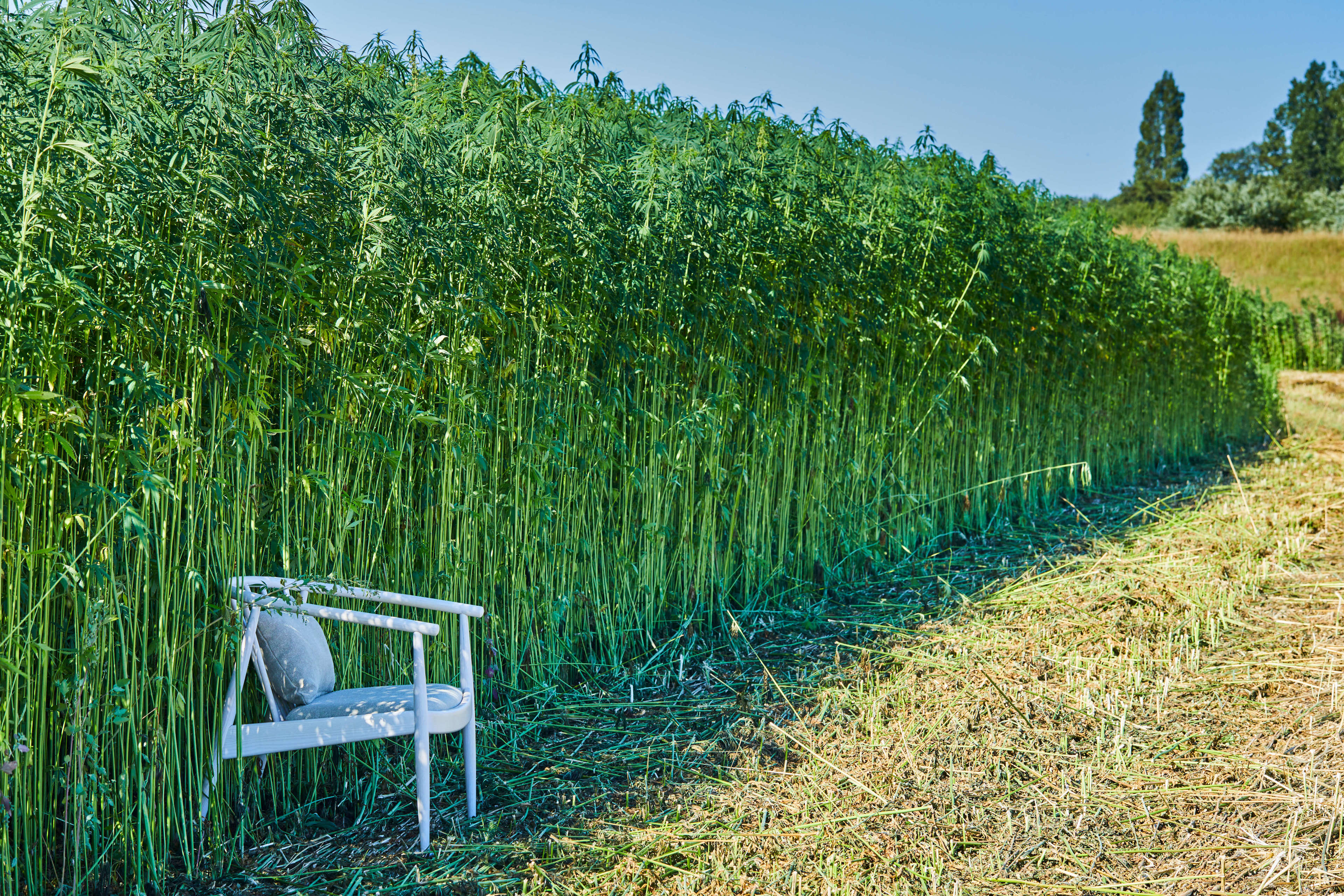 Hemp Chair Landscape 2 Hemp Chair Landscape 2