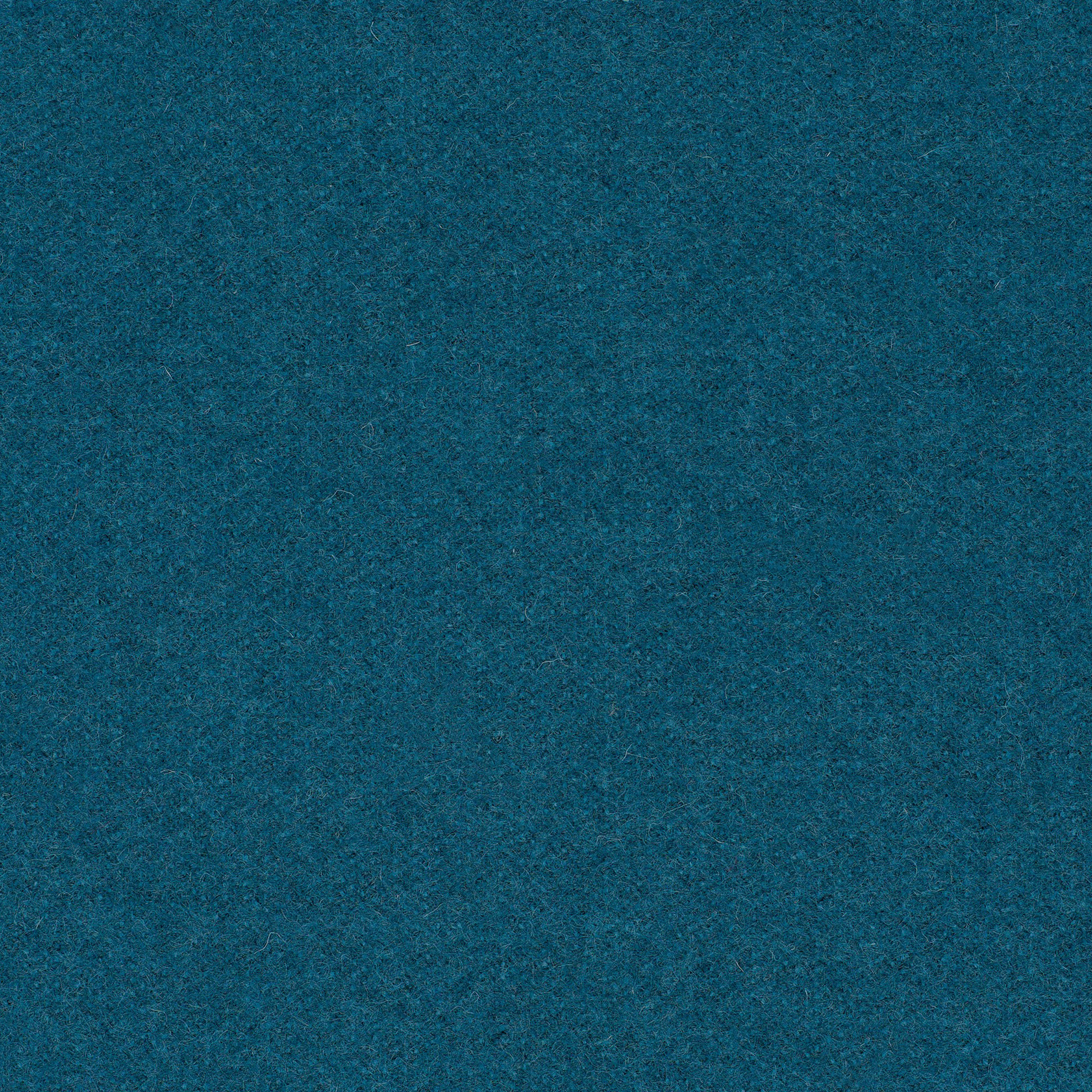 LDS59_WEB LDS59_WEB