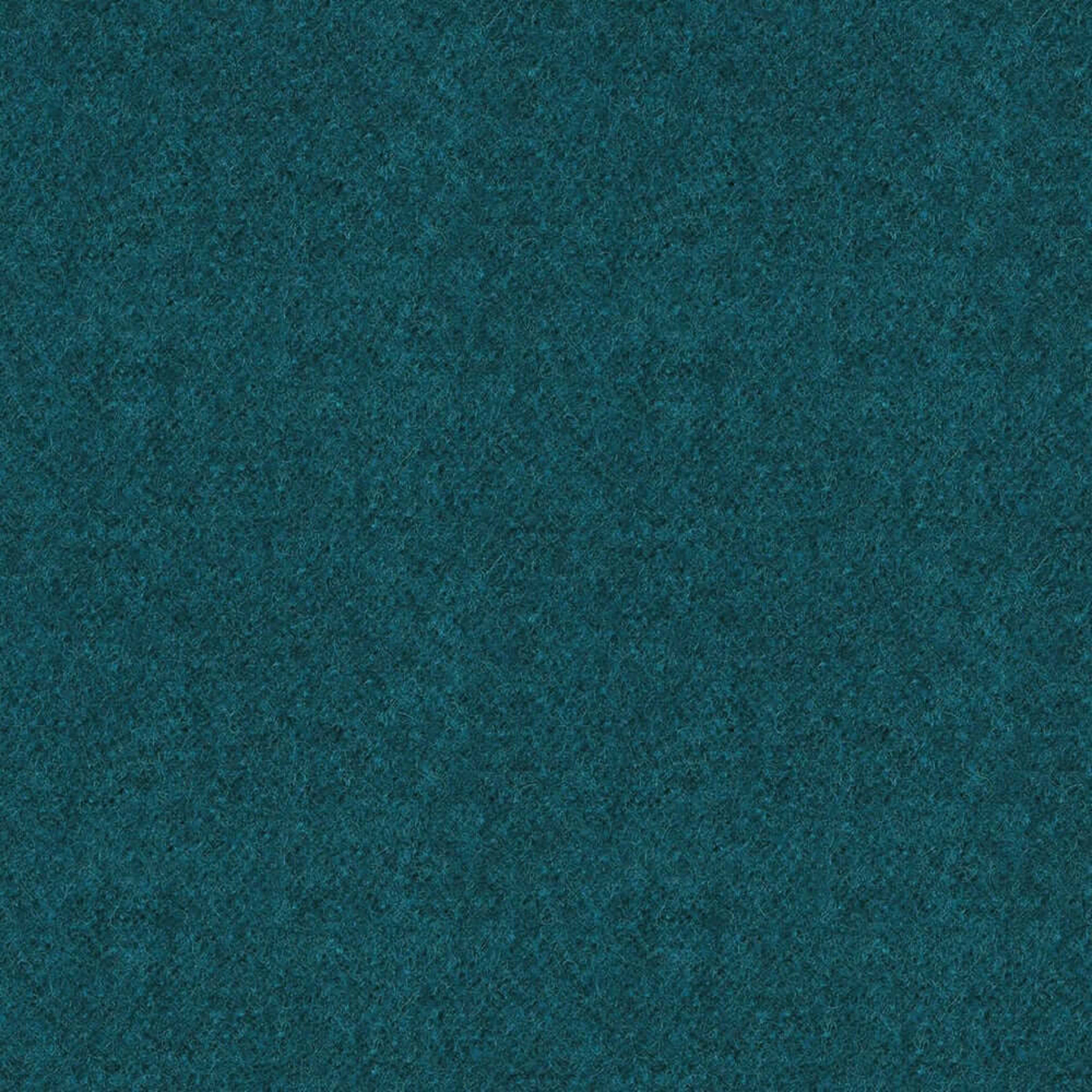LDS59_WEB