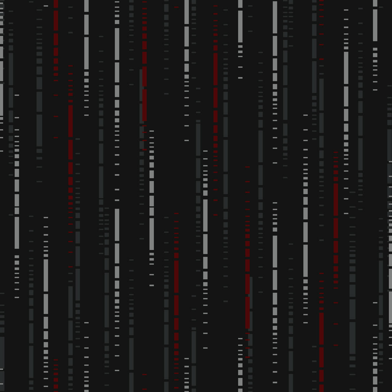 CCJD31