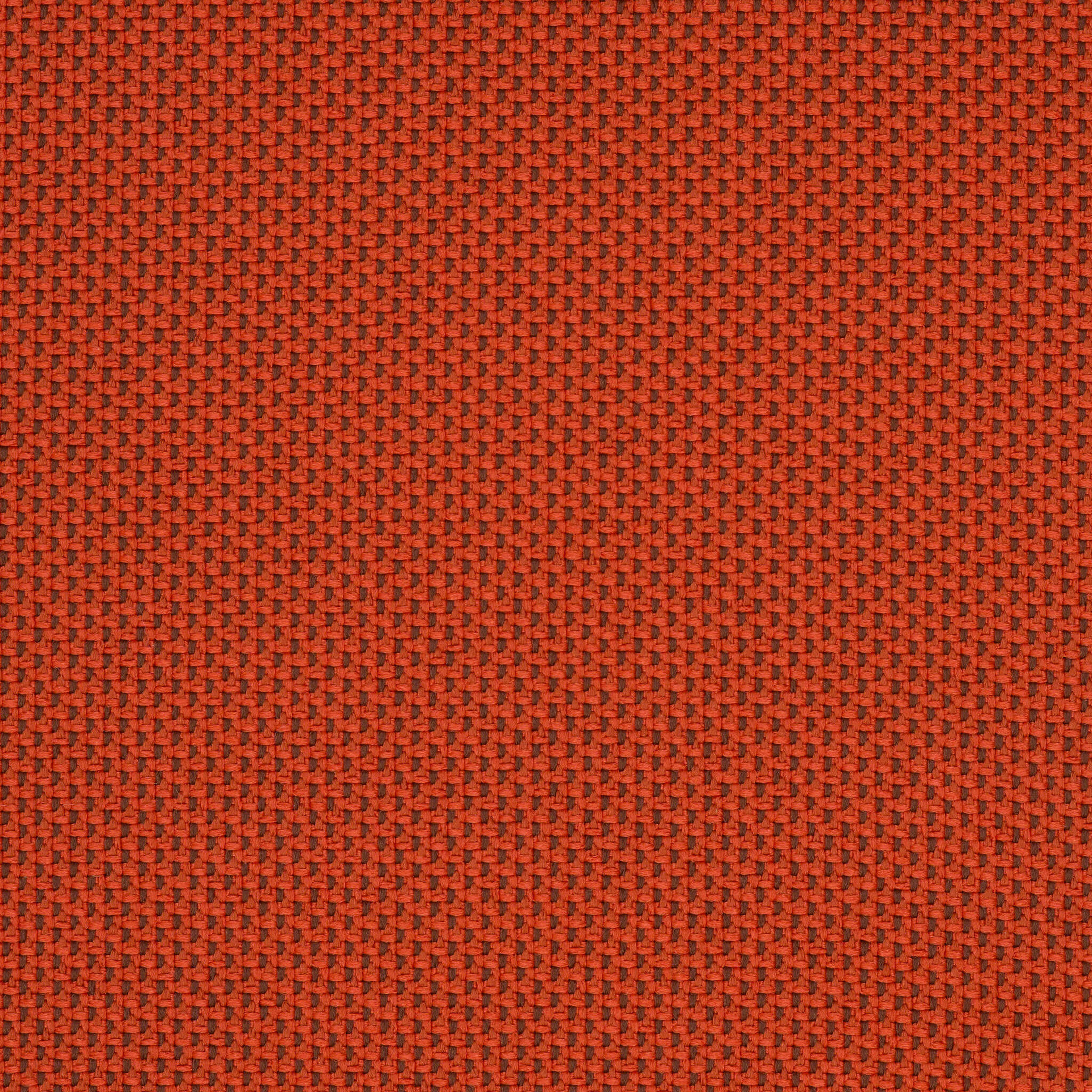 Camira_REP19