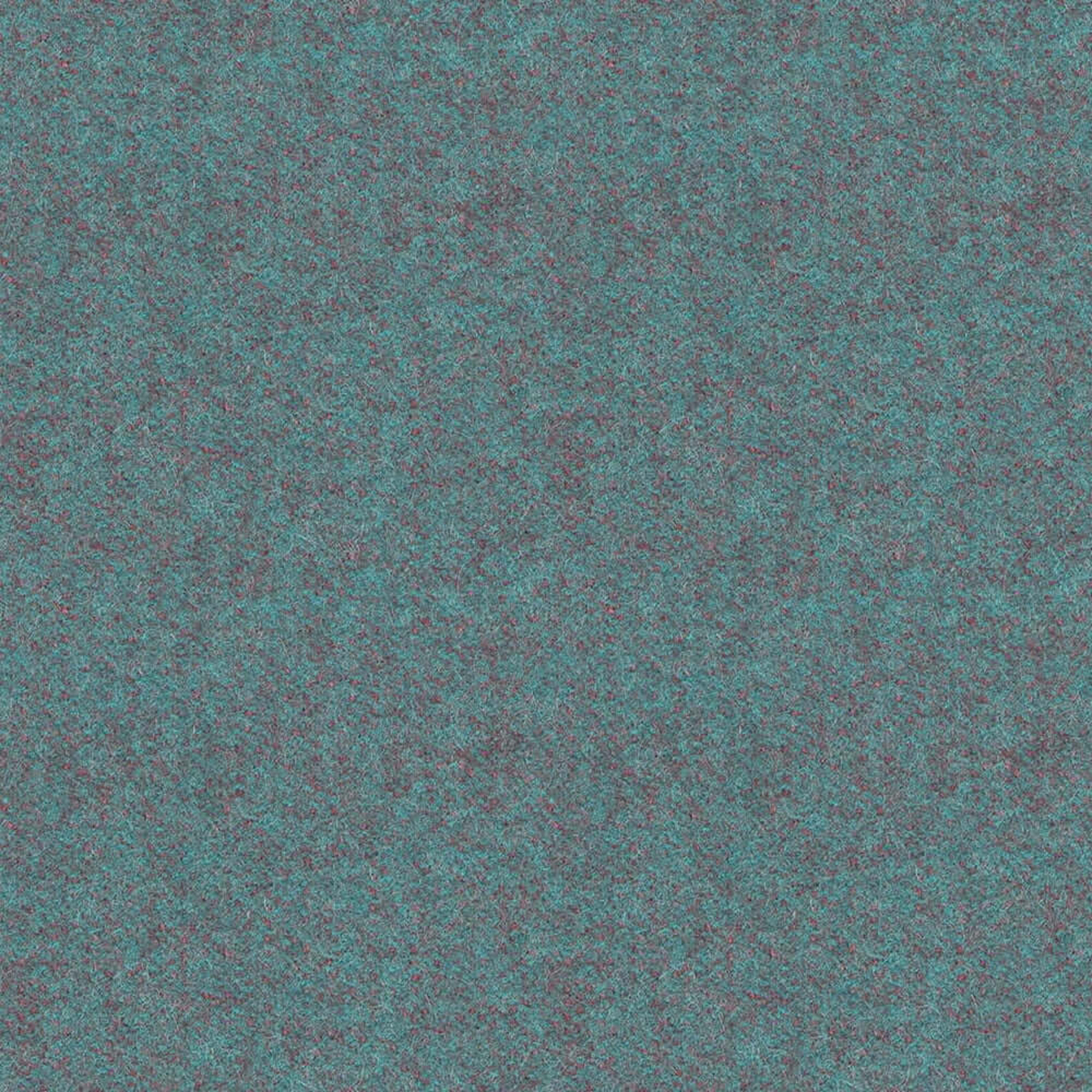 LDS56_WEB