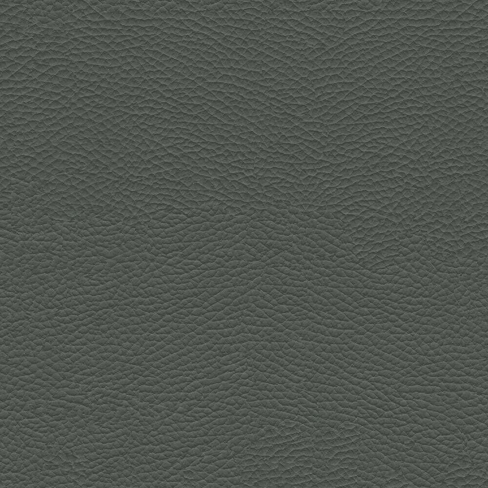 VAC37_WEB