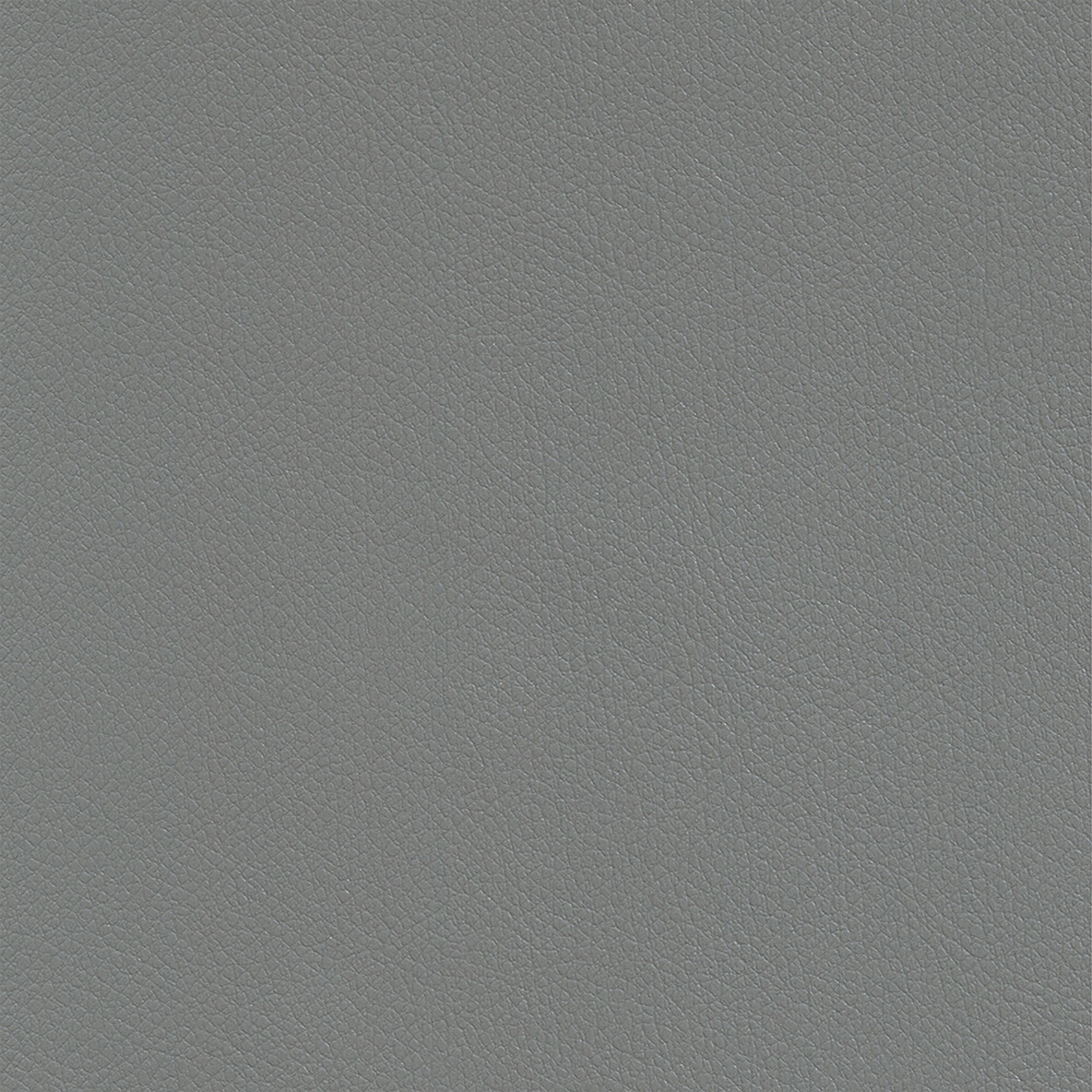 RAP01_WEB RAP01_WEB