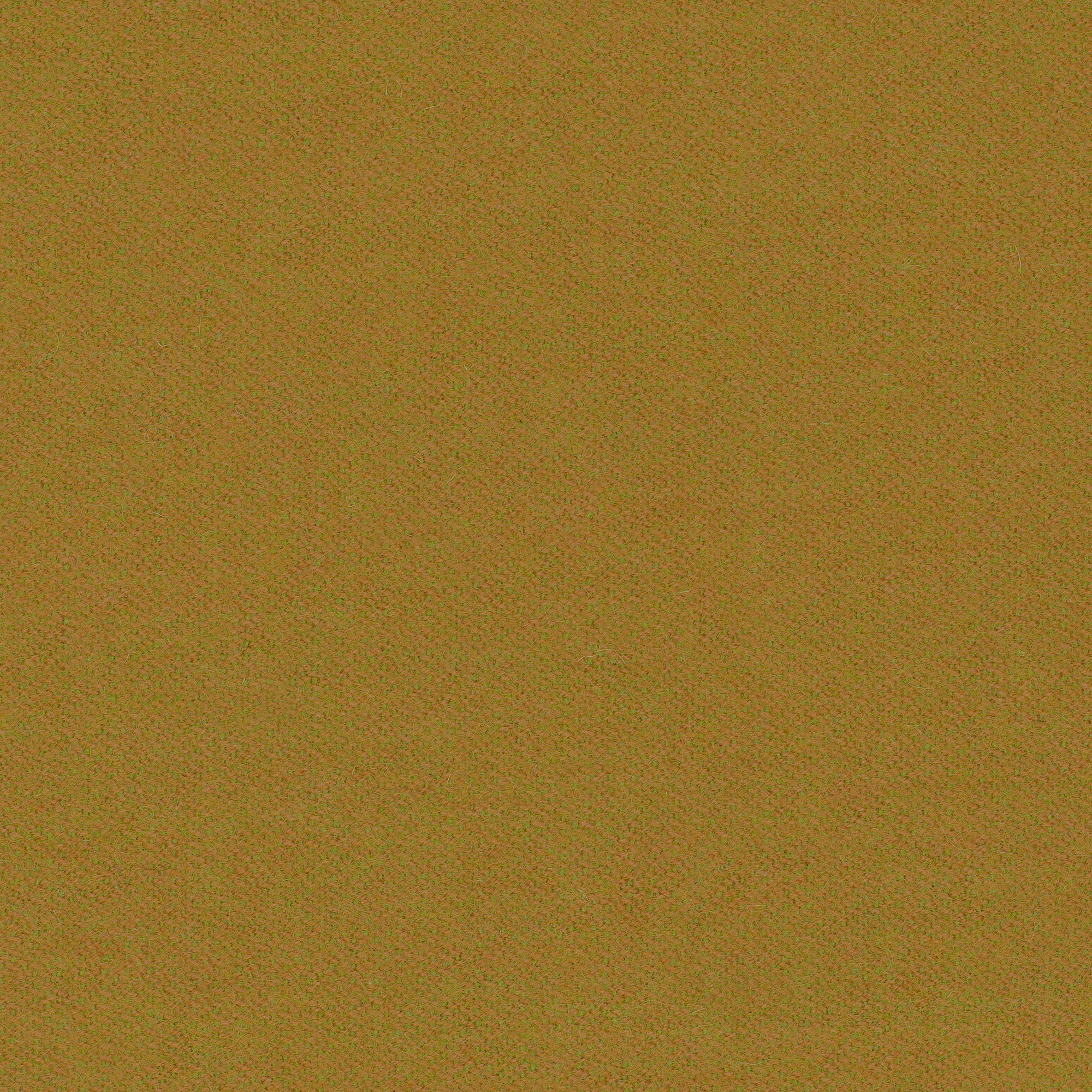 LDS43_WEB LDS43_WEB