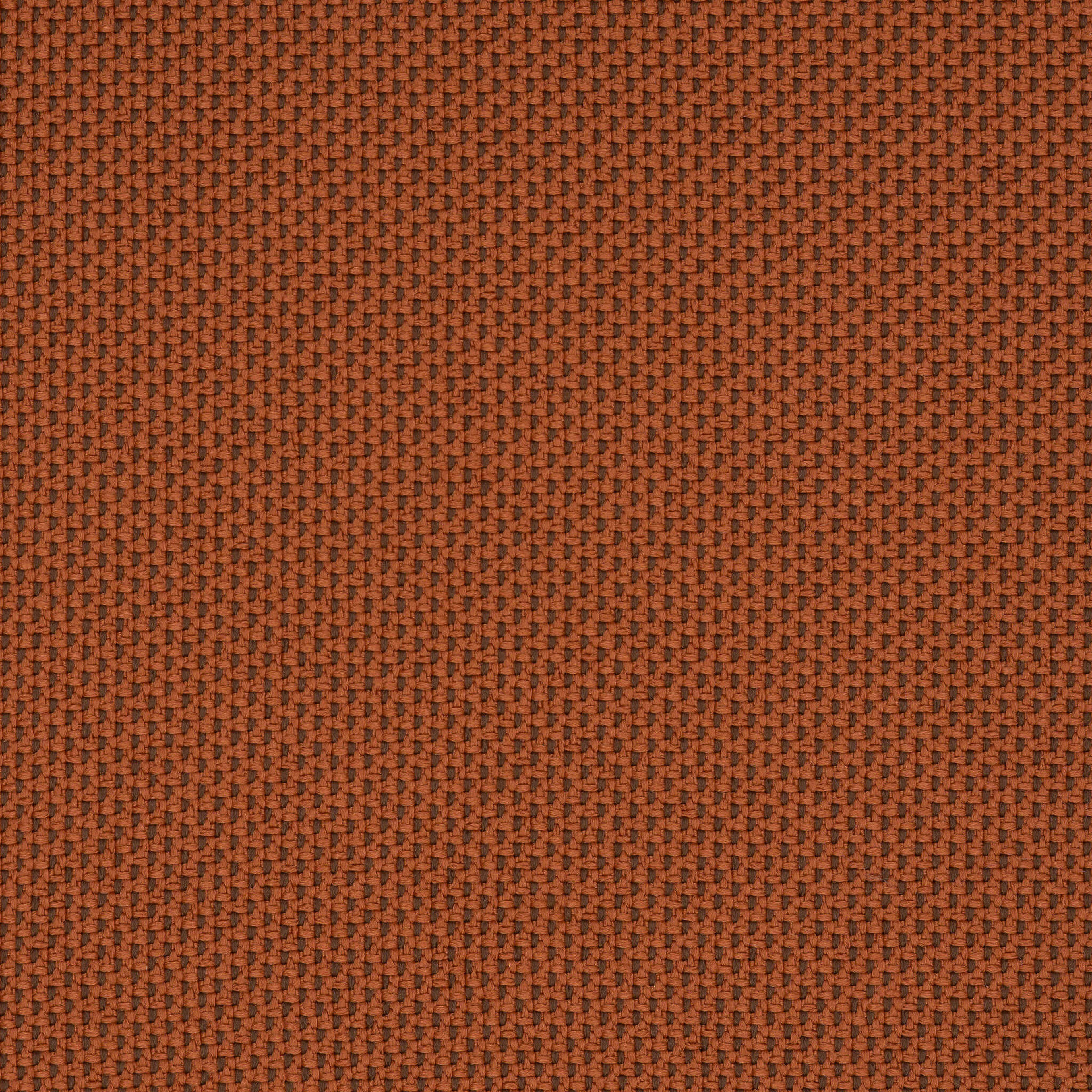 Camira_REP18