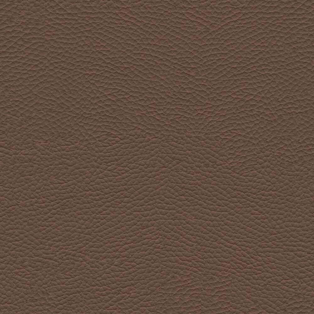 VAC06_WEB