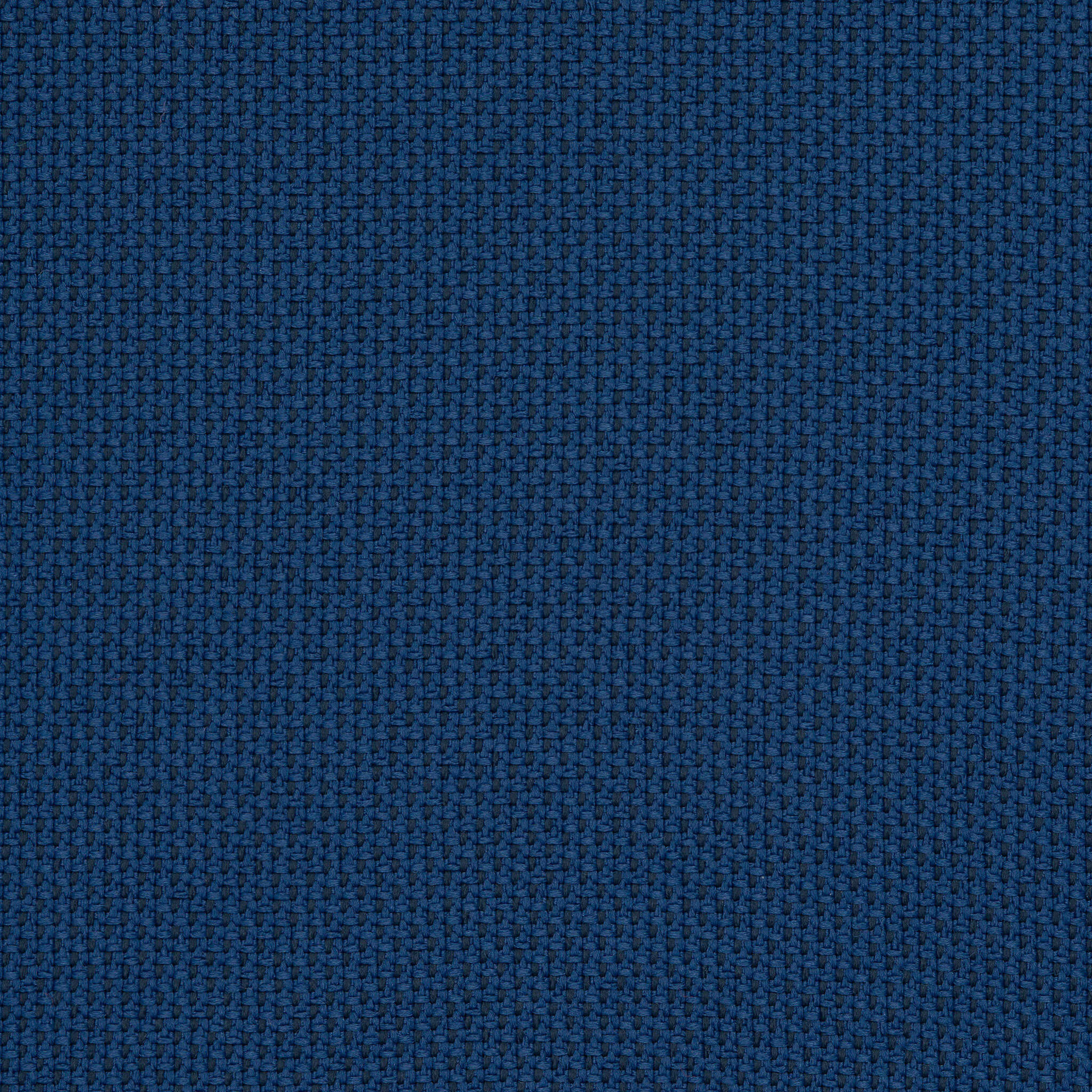 Camira_REP02