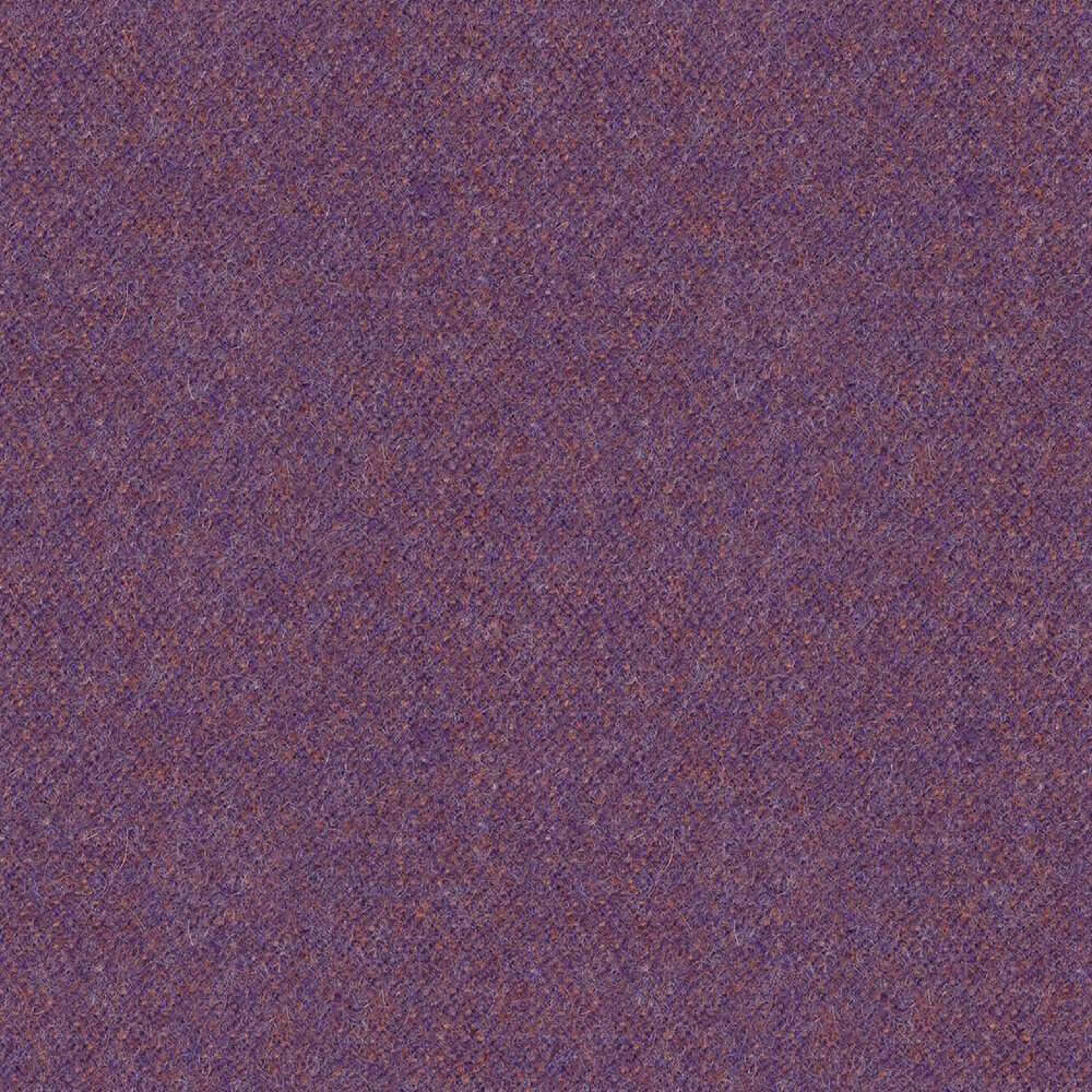 LDP66_WEB