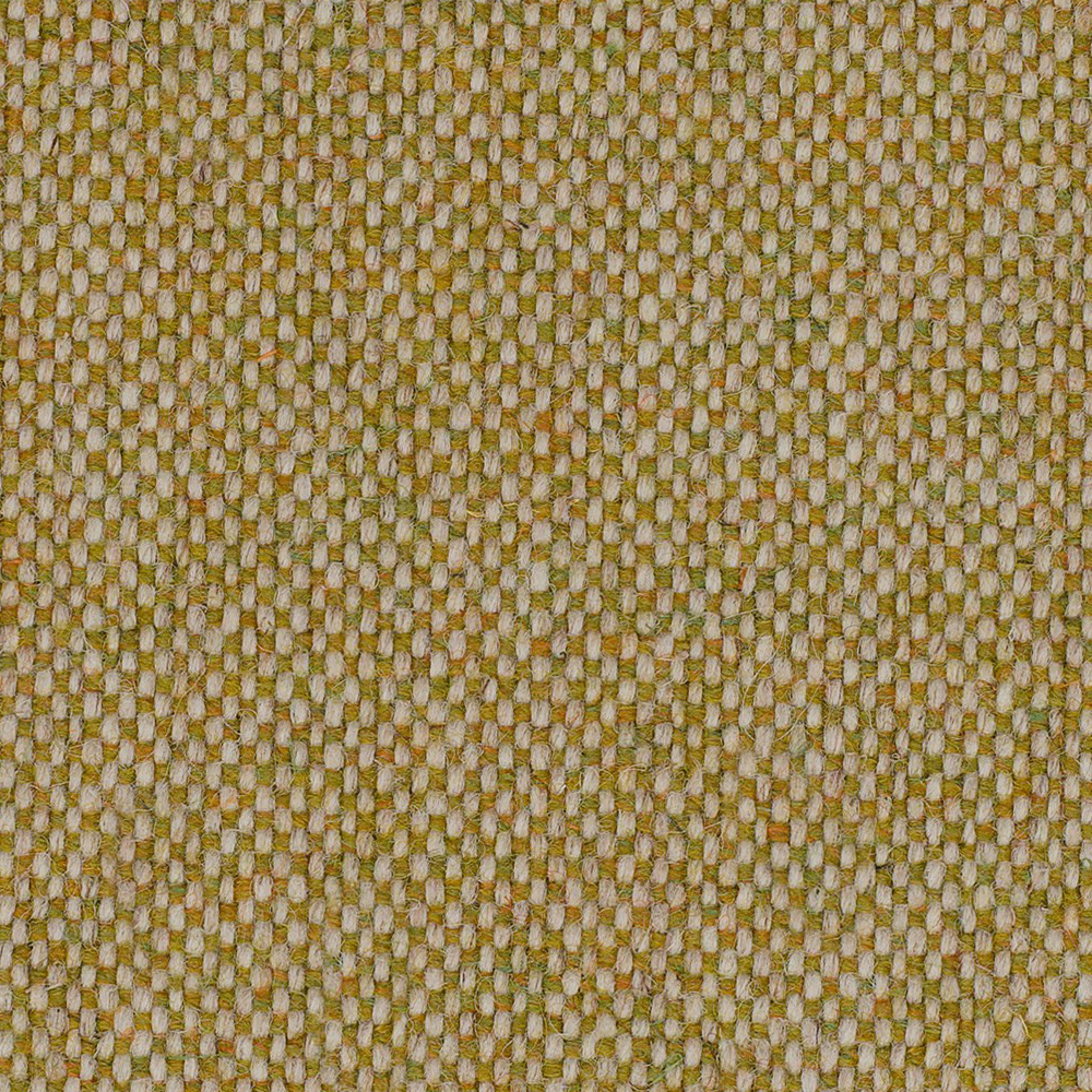 MLF07_WEB