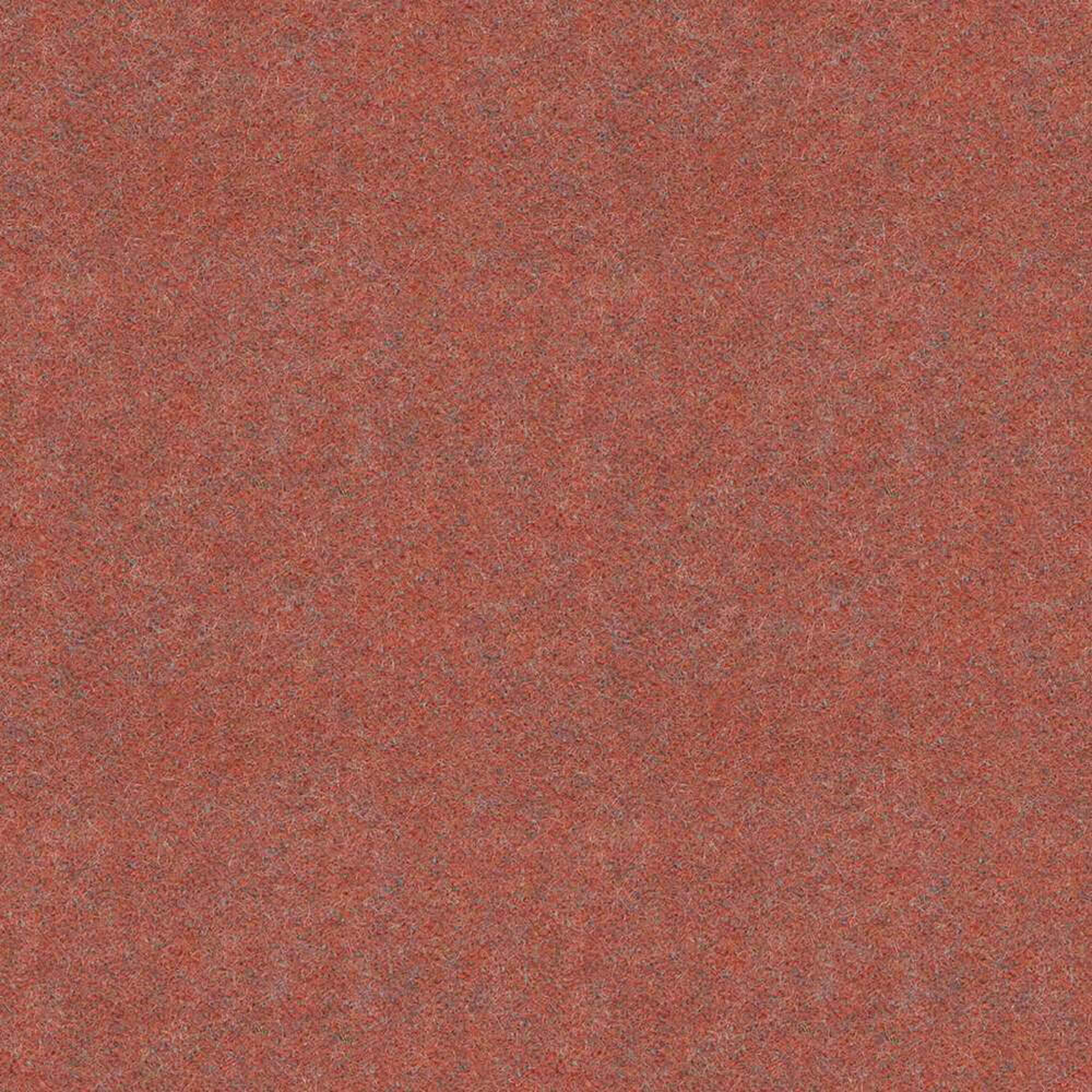 LDP73_WEB
