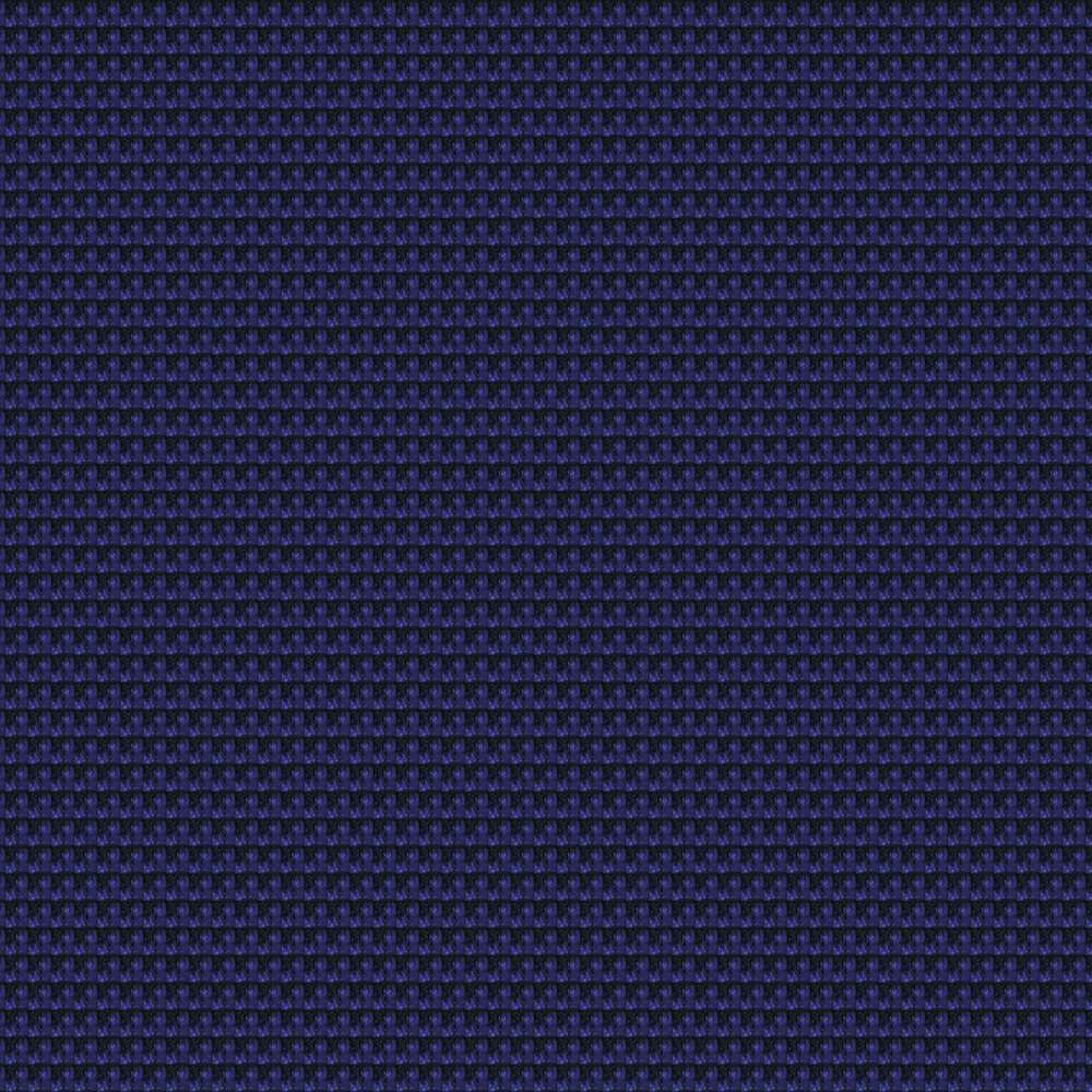 CSP11_WEB
