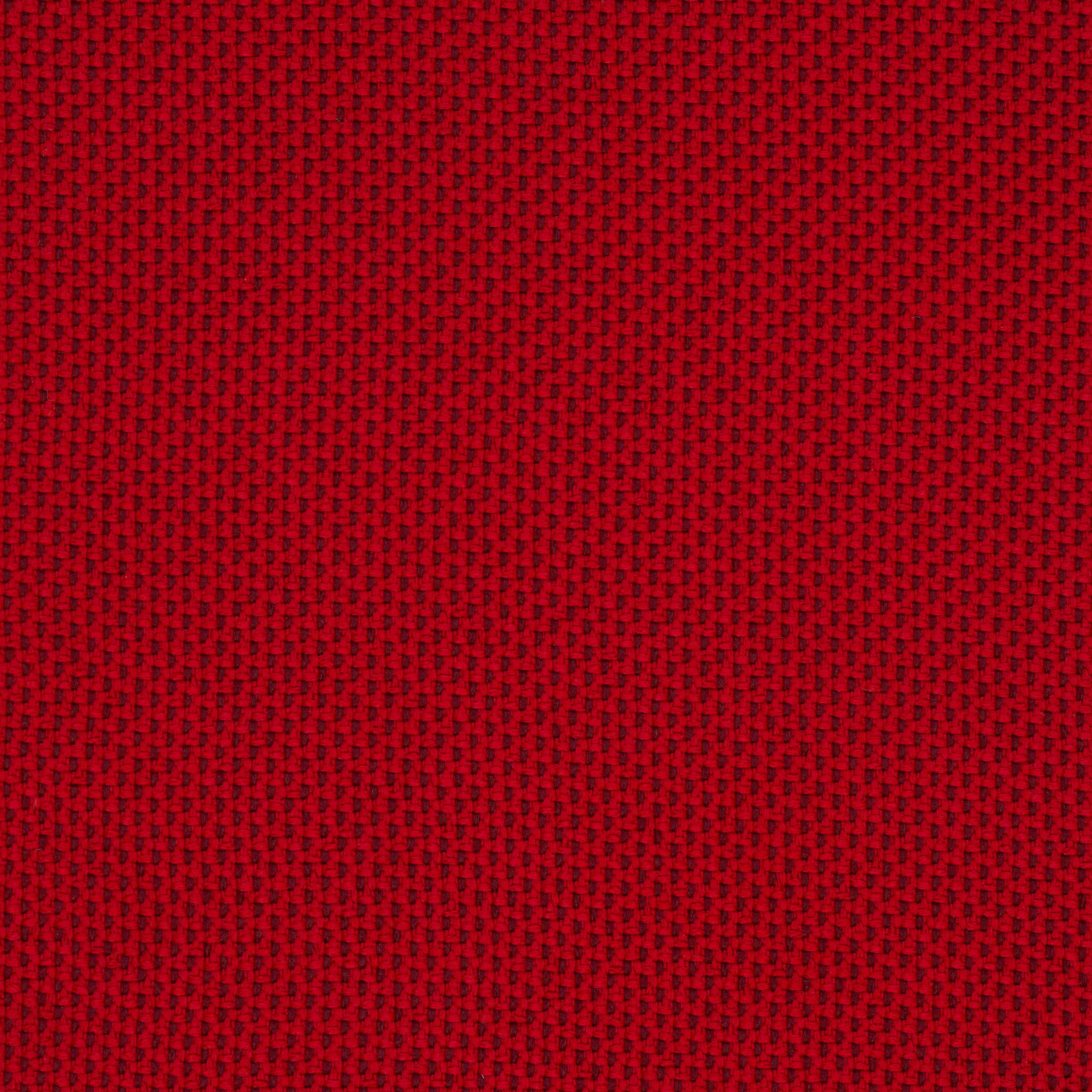 Camira_REP23