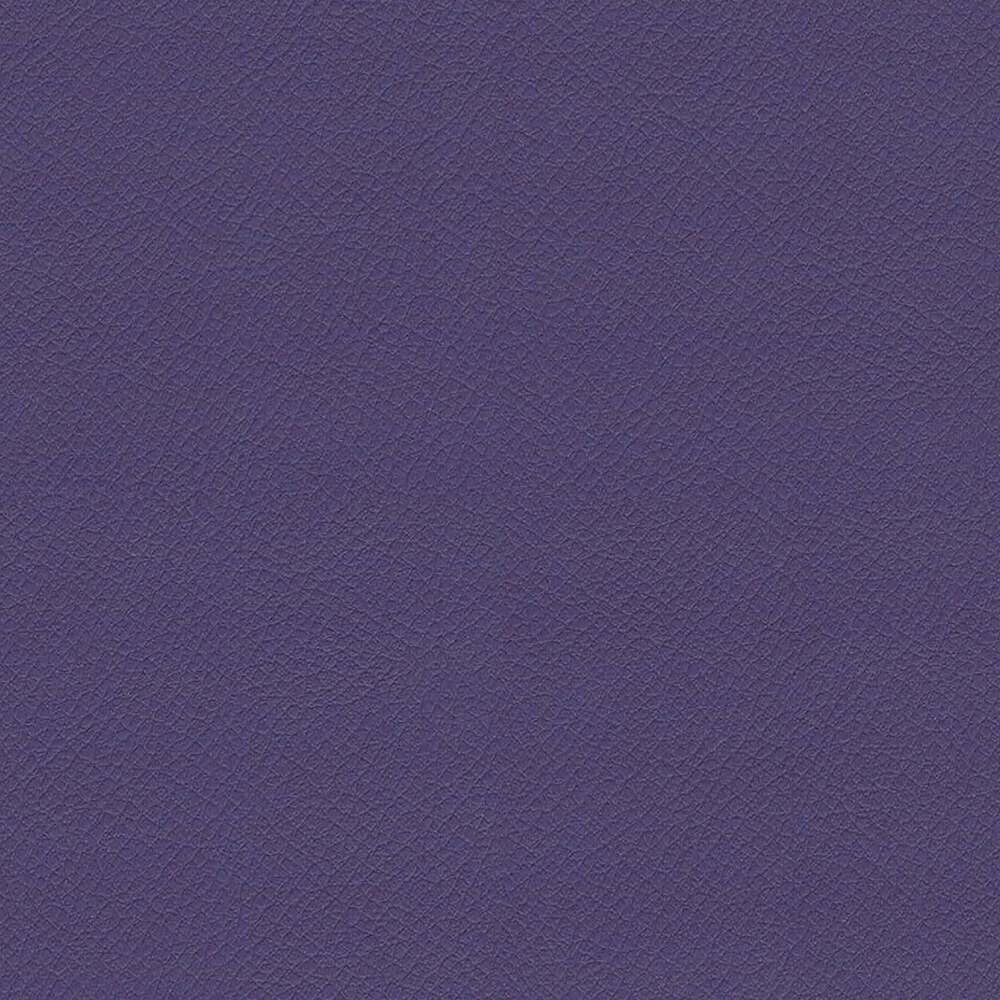 ITA55_WEB