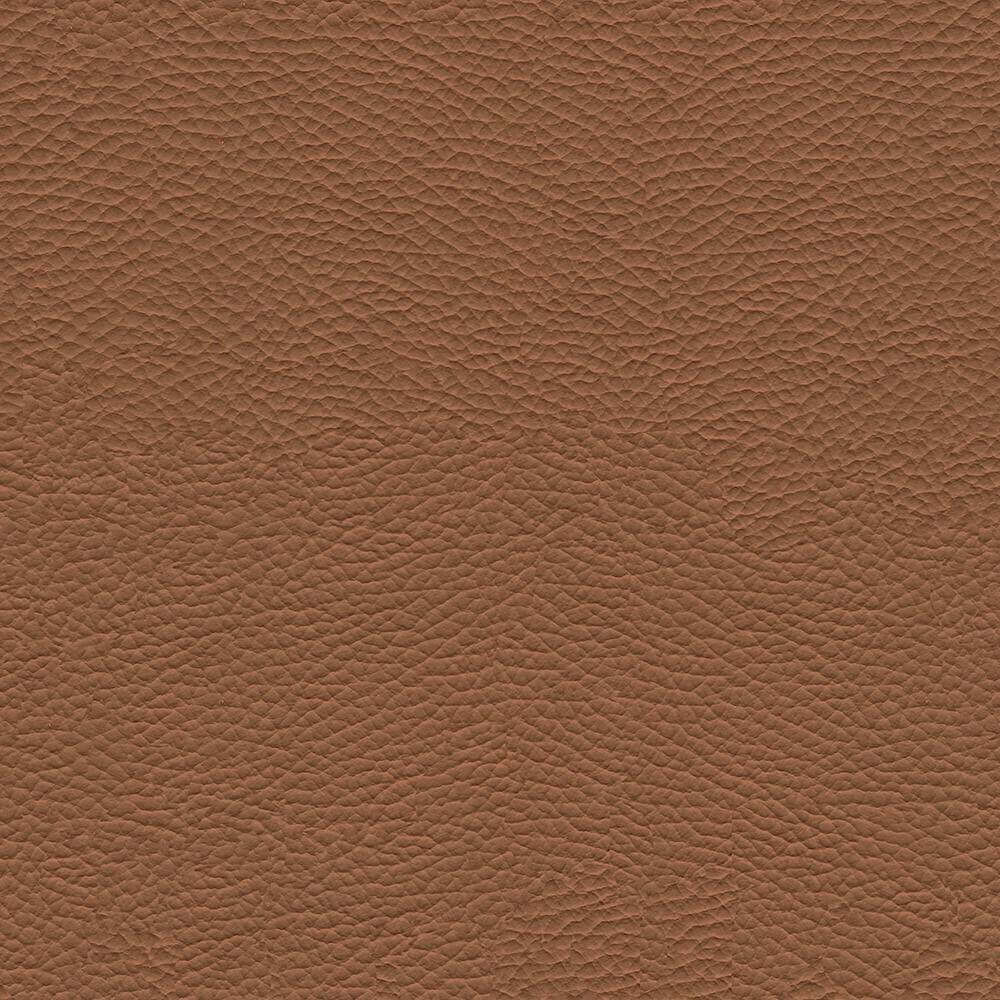 VAC24_WEB