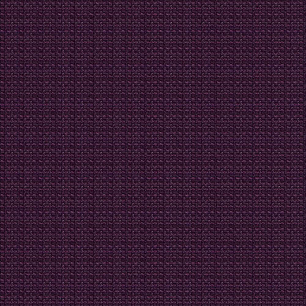 YN204_WEB