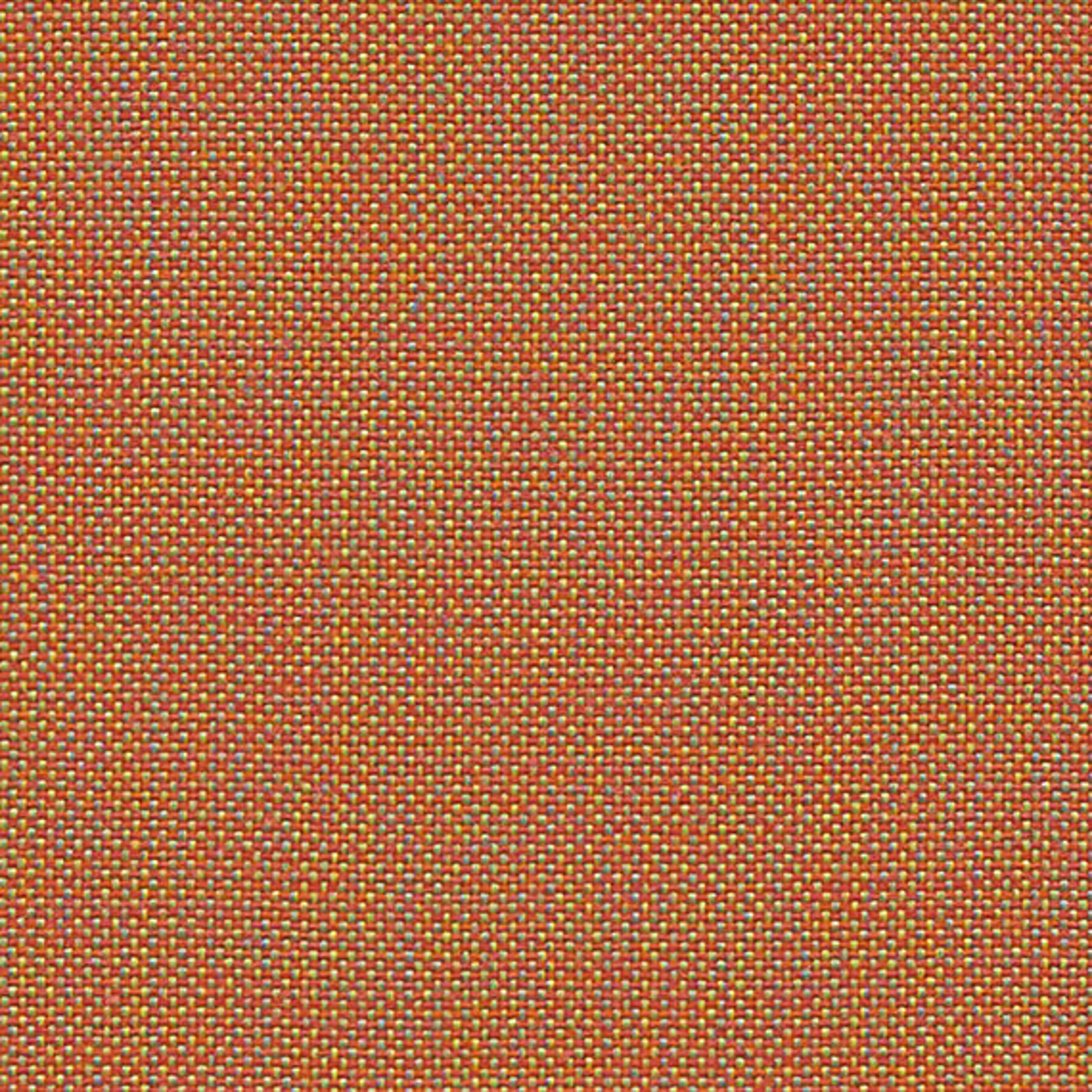 CLW06_WEB