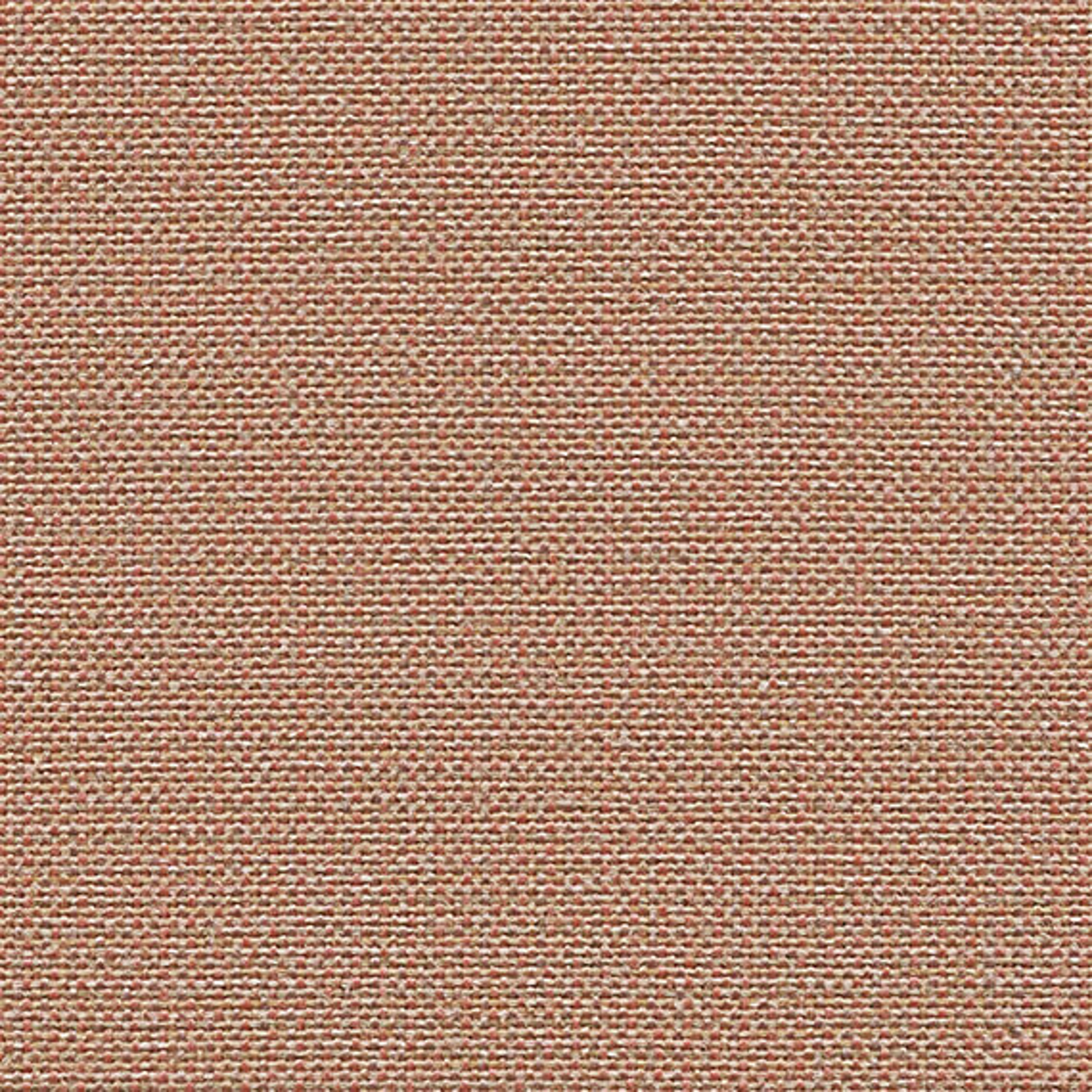 CLW05_WEB