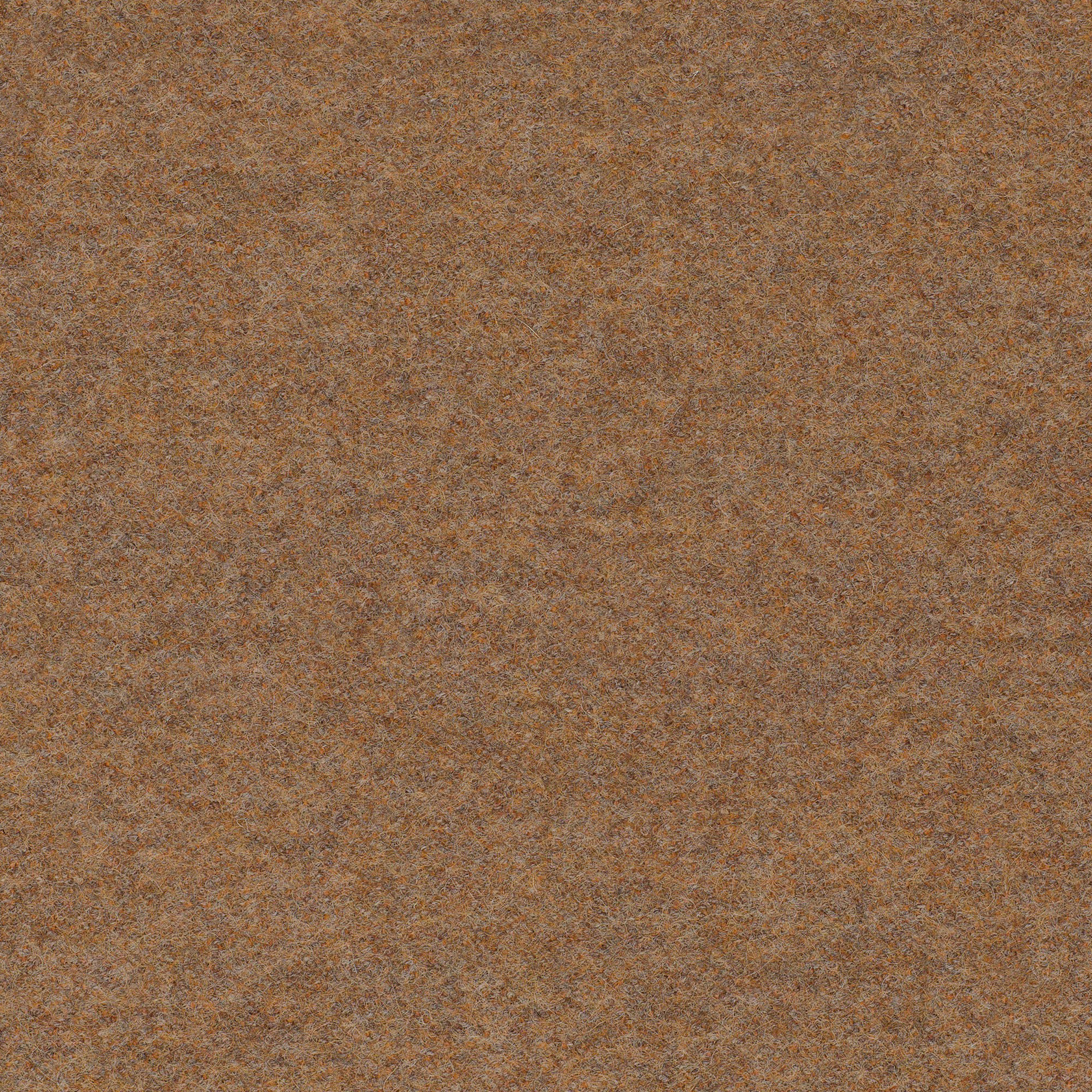 LDS37_WEB LDS37_WEB