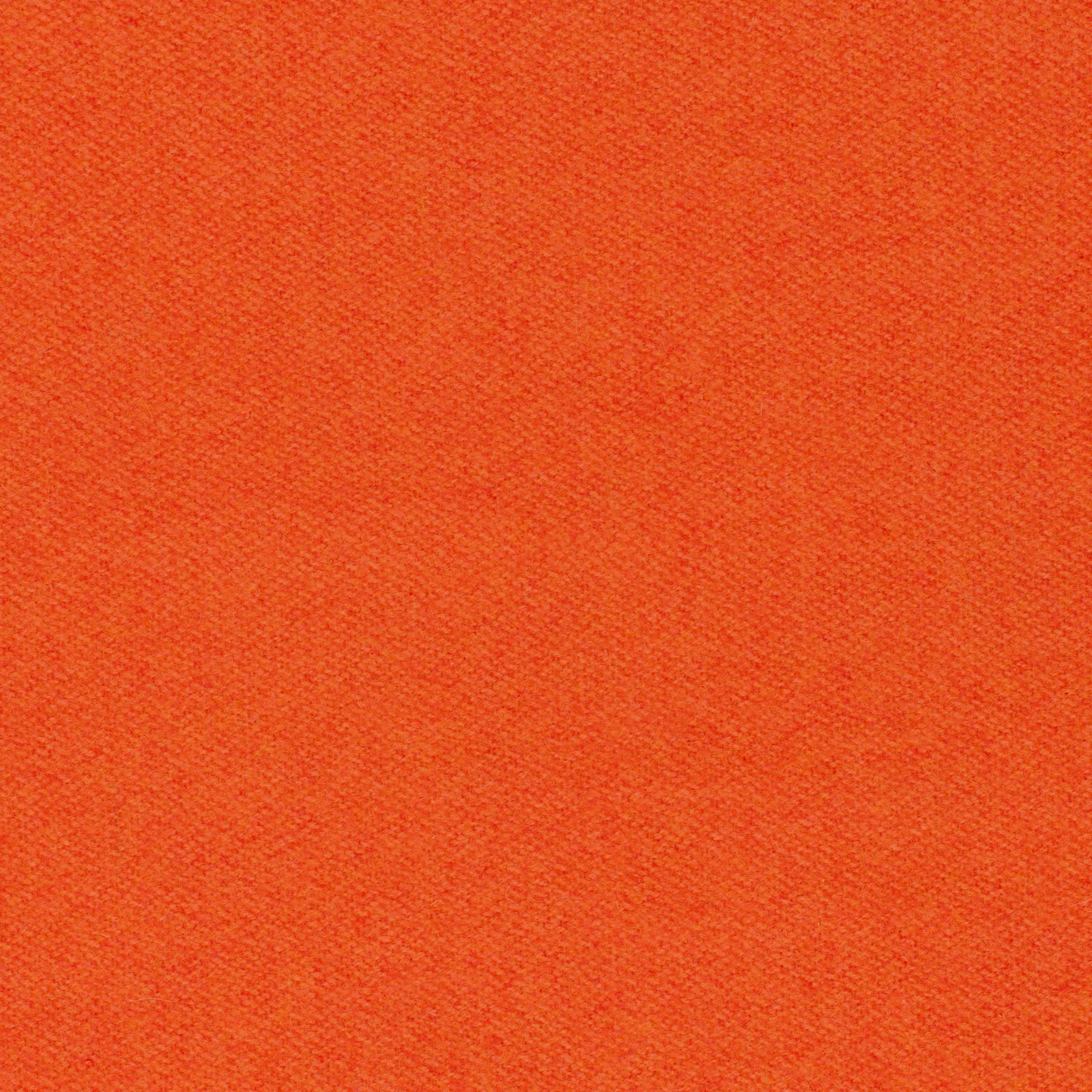 LDS81_WEB LDS81_WEB