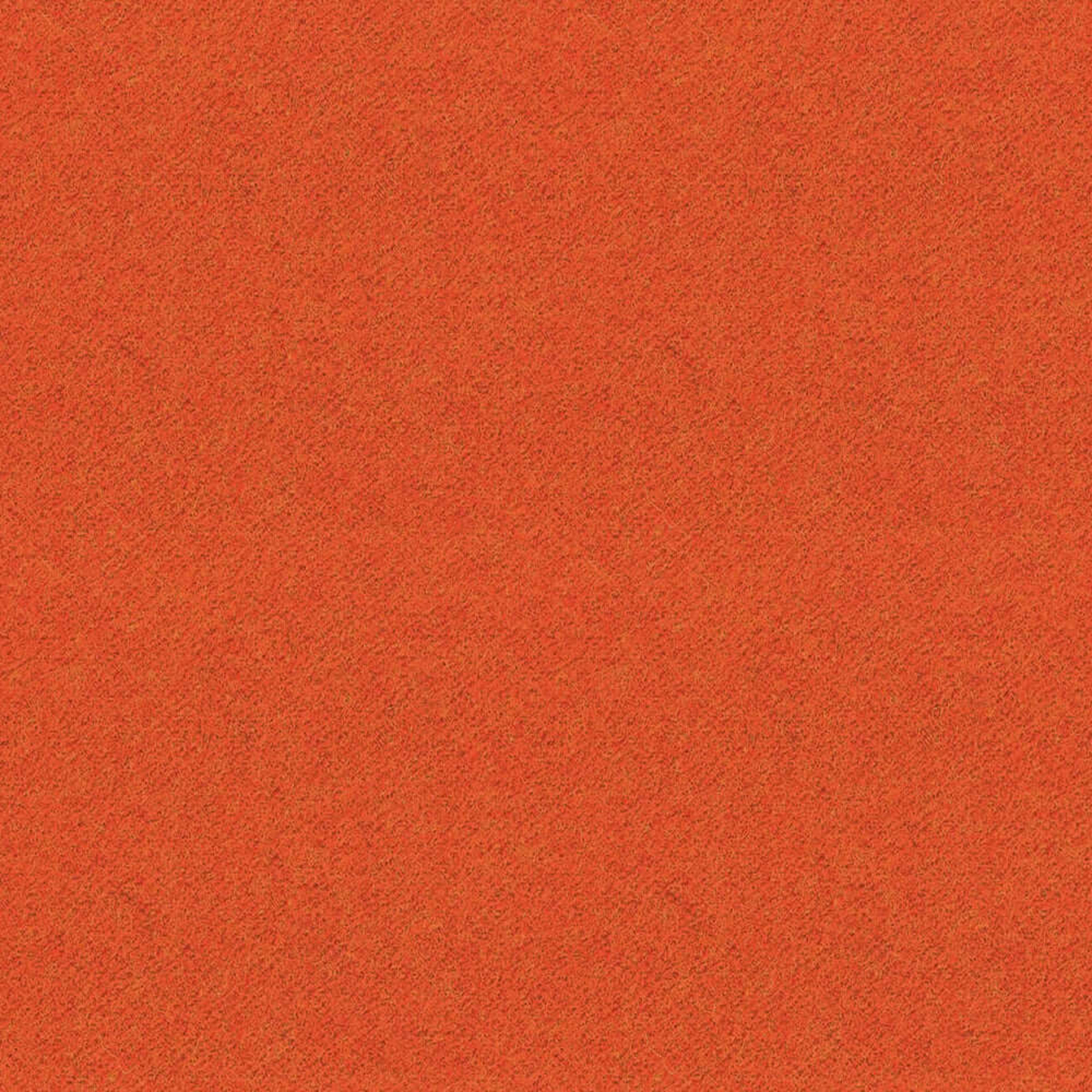 LDS81_WEB