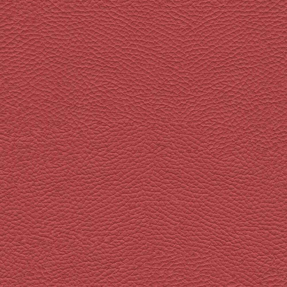 VAC04_WEB
