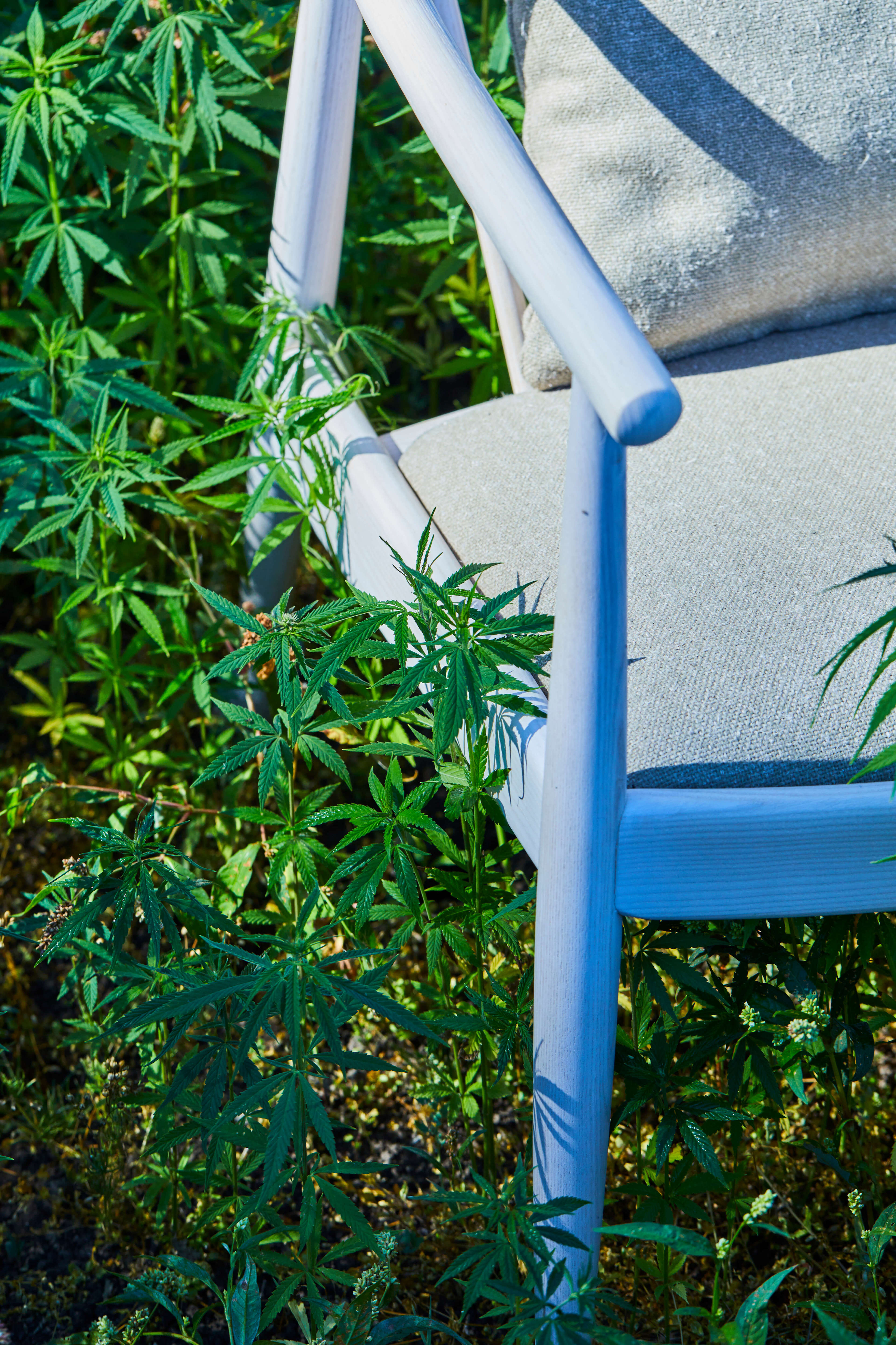 Hemp Chair Detail 2 Hemp Chair Detail 2